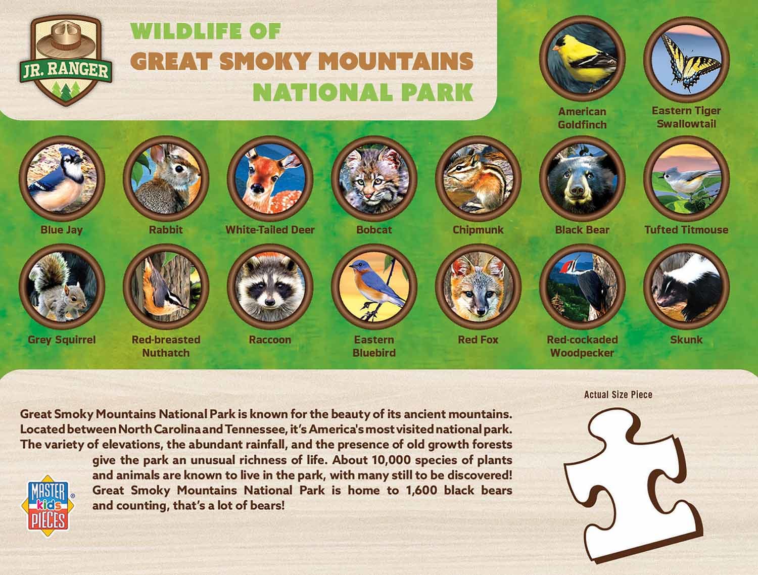 Great Smoky Mountains National Park