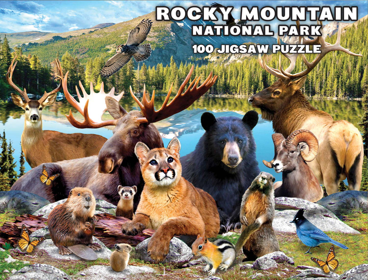 Rocky Mountain National Park Animals