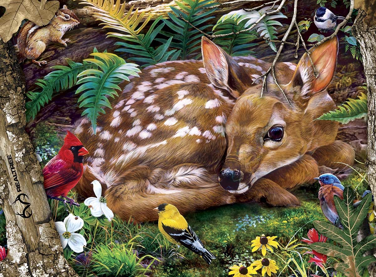 Forest Babies Animals