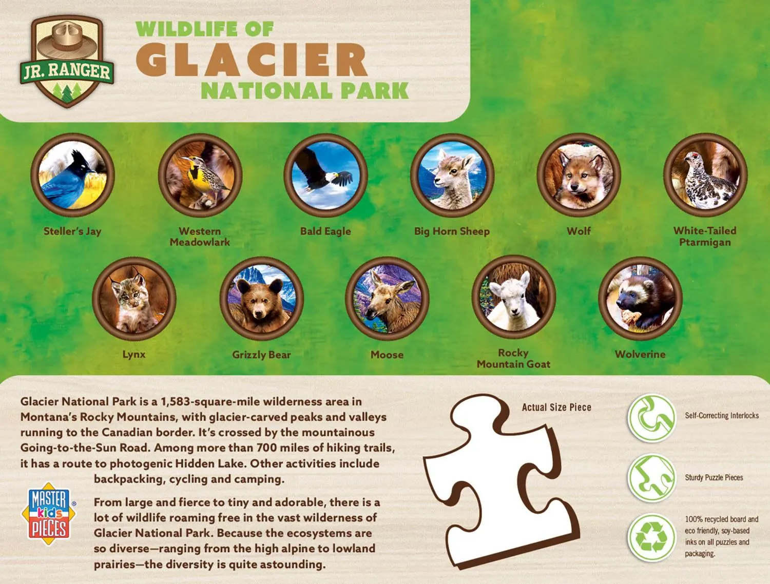 Wildlife of Glacier National Park Jr. Ranger