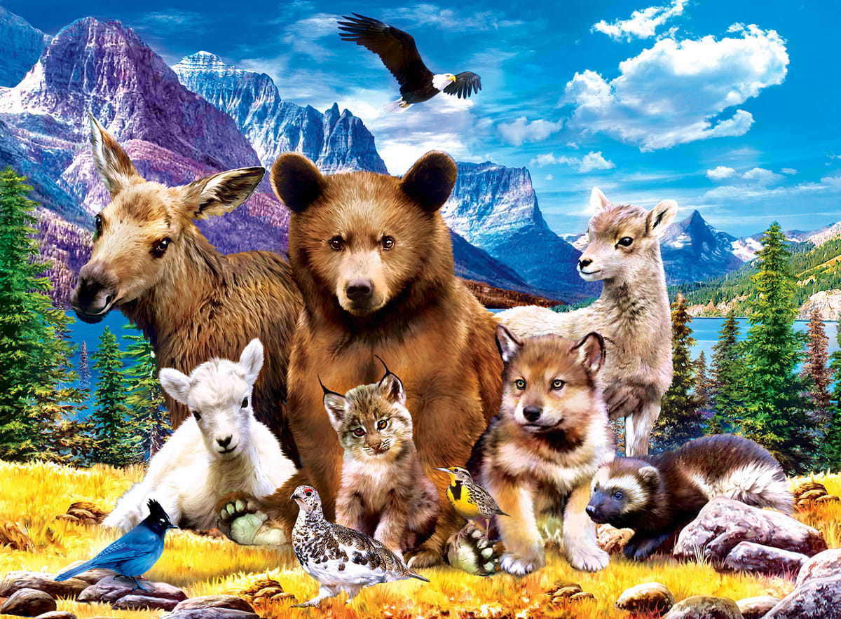 Wildlife of Glacier National Park Jr. Ranger Forest Animal