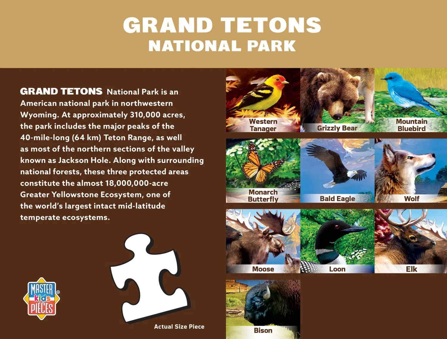 Wildlife of Grand Teton National Park Jr. Ranger