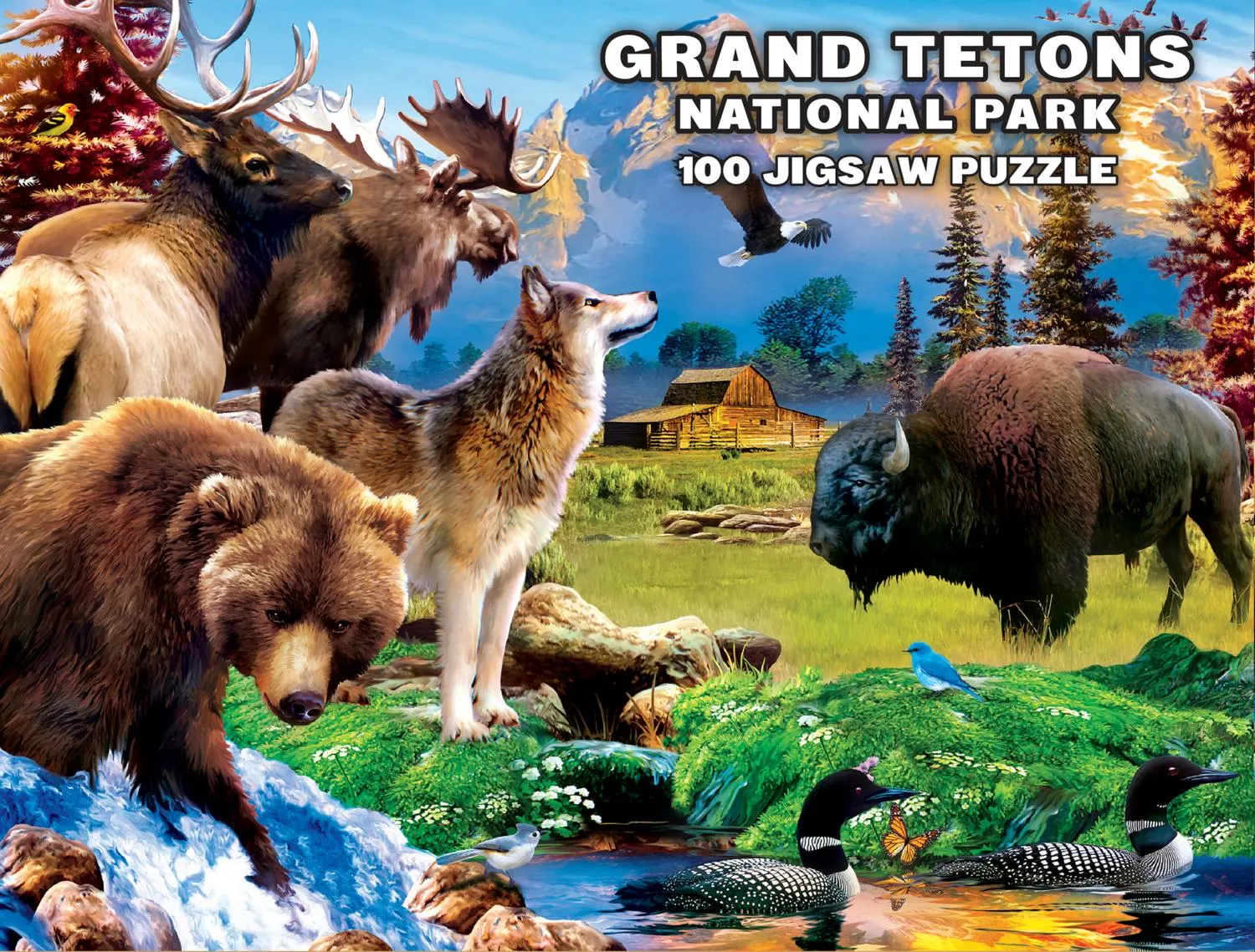 Wildlife of Grand Teton National Park Jr. Ranger