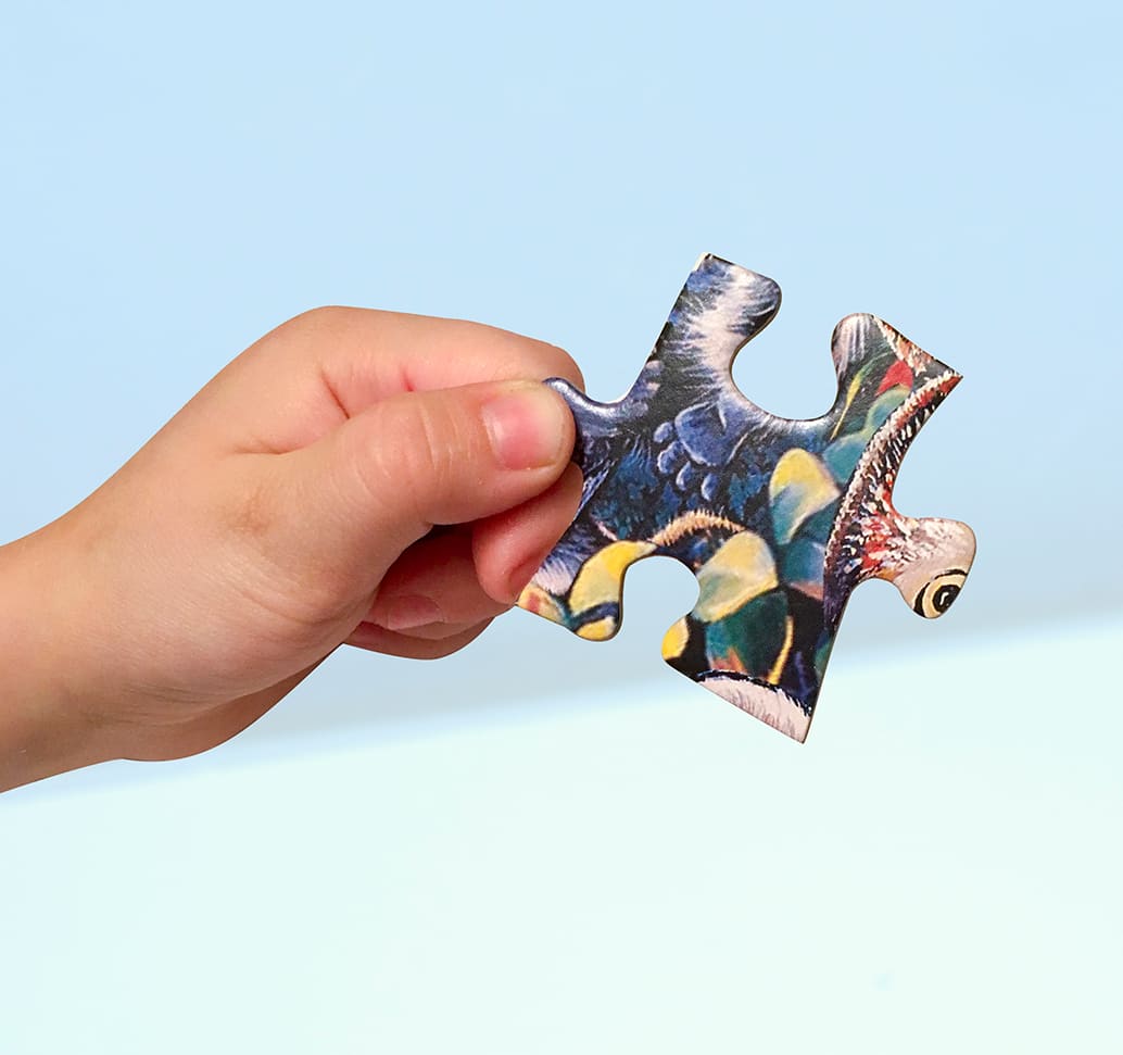 Wildlife of Grand Teton National Park Jr. Ranger