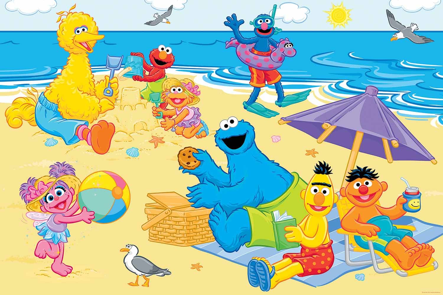 Sesame Street - Fun in The Sun