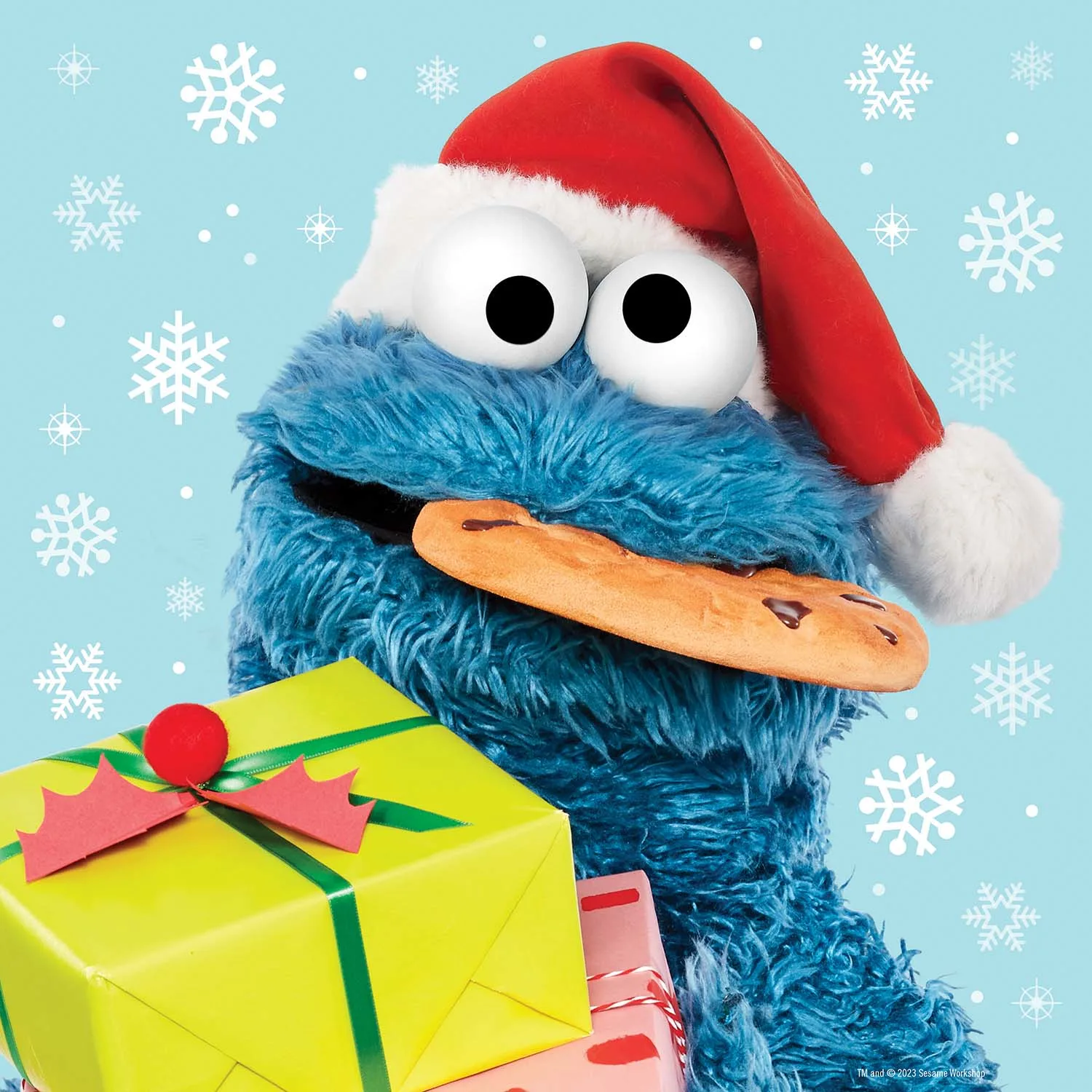 Sesame Street - Christmas - Cookie Monster