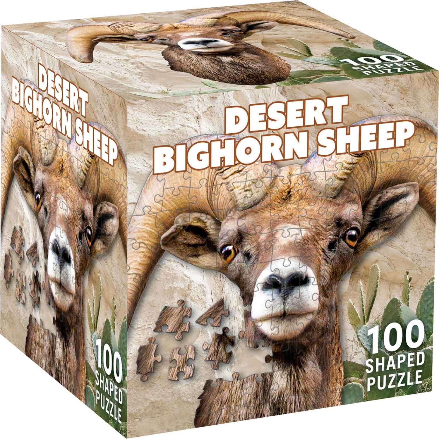 Desert Bighorn Sheep Animals