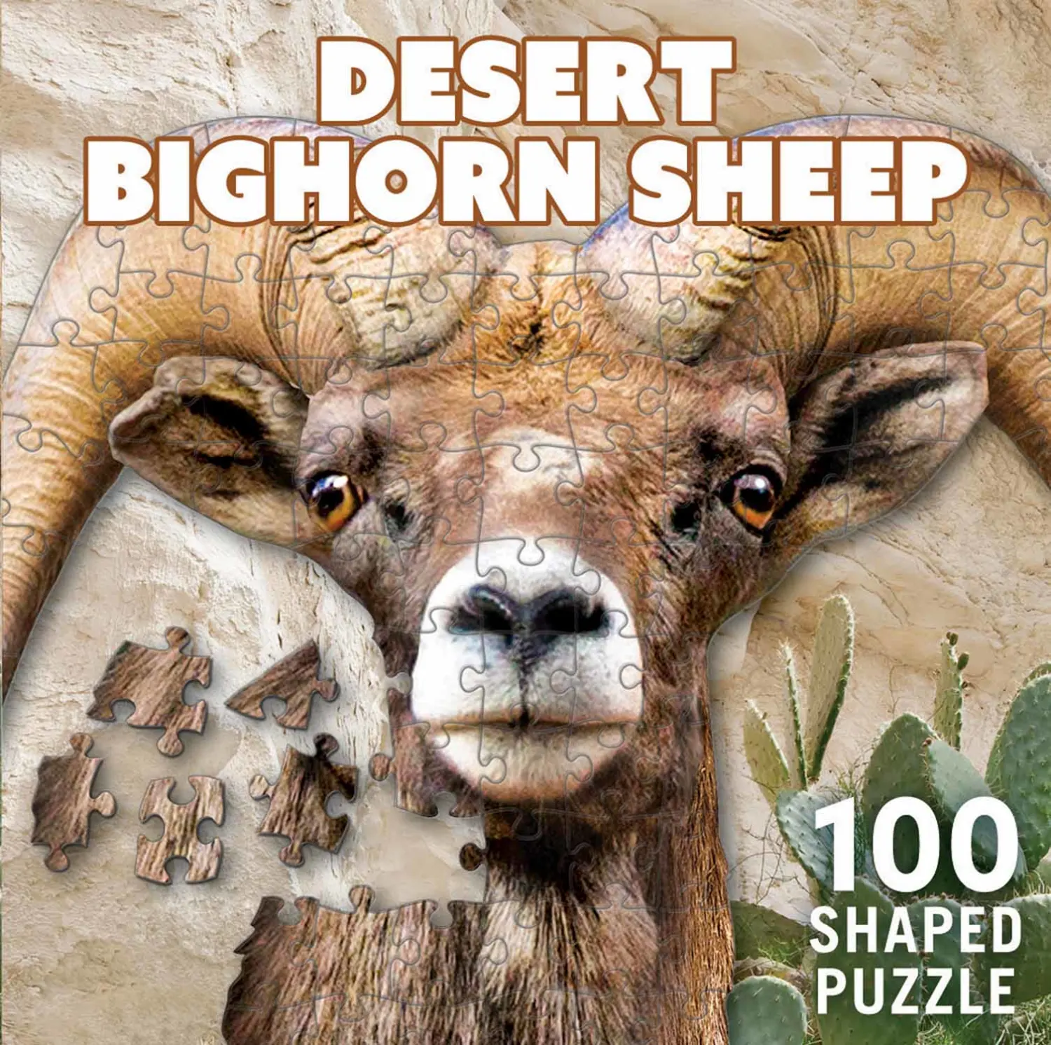 Desert Bighorn Sheep