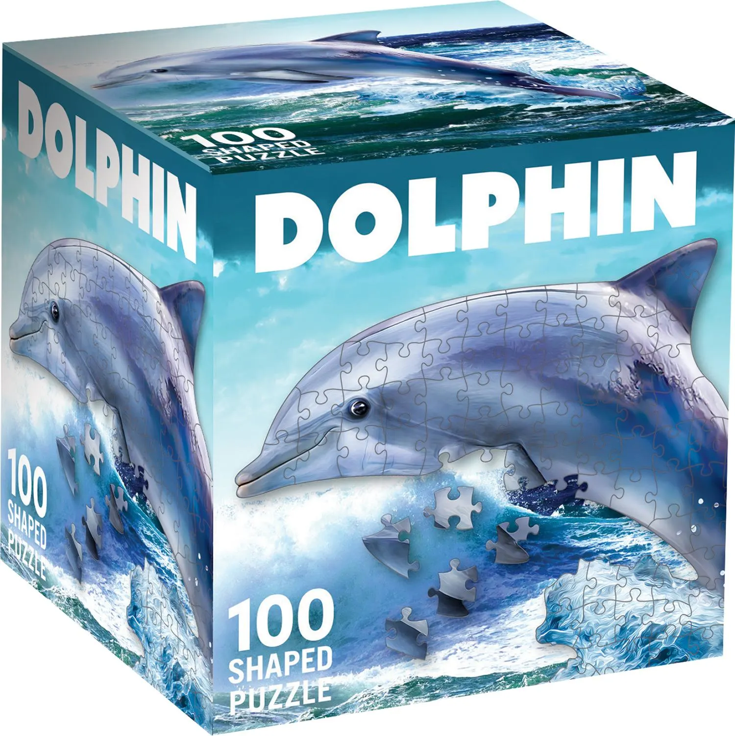 Dolphin