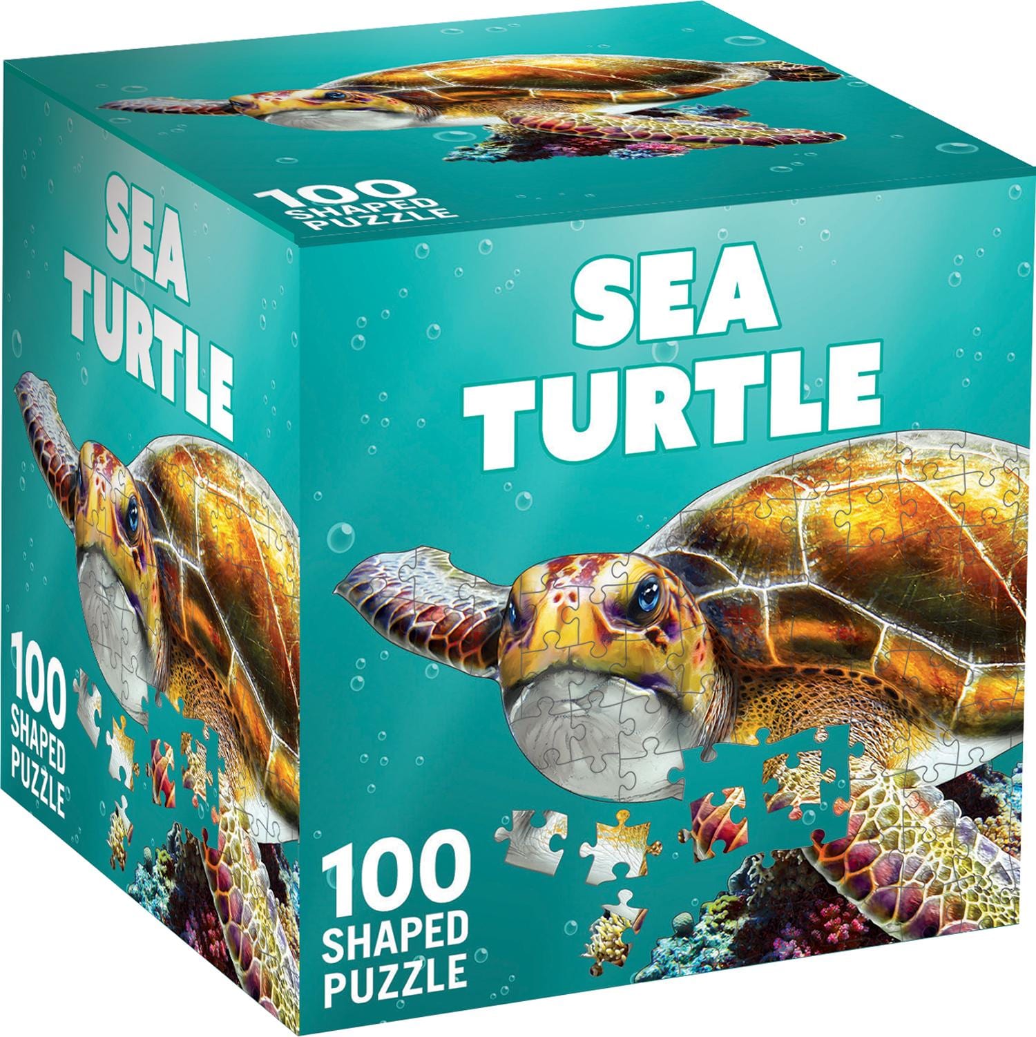 Sea Turtle
