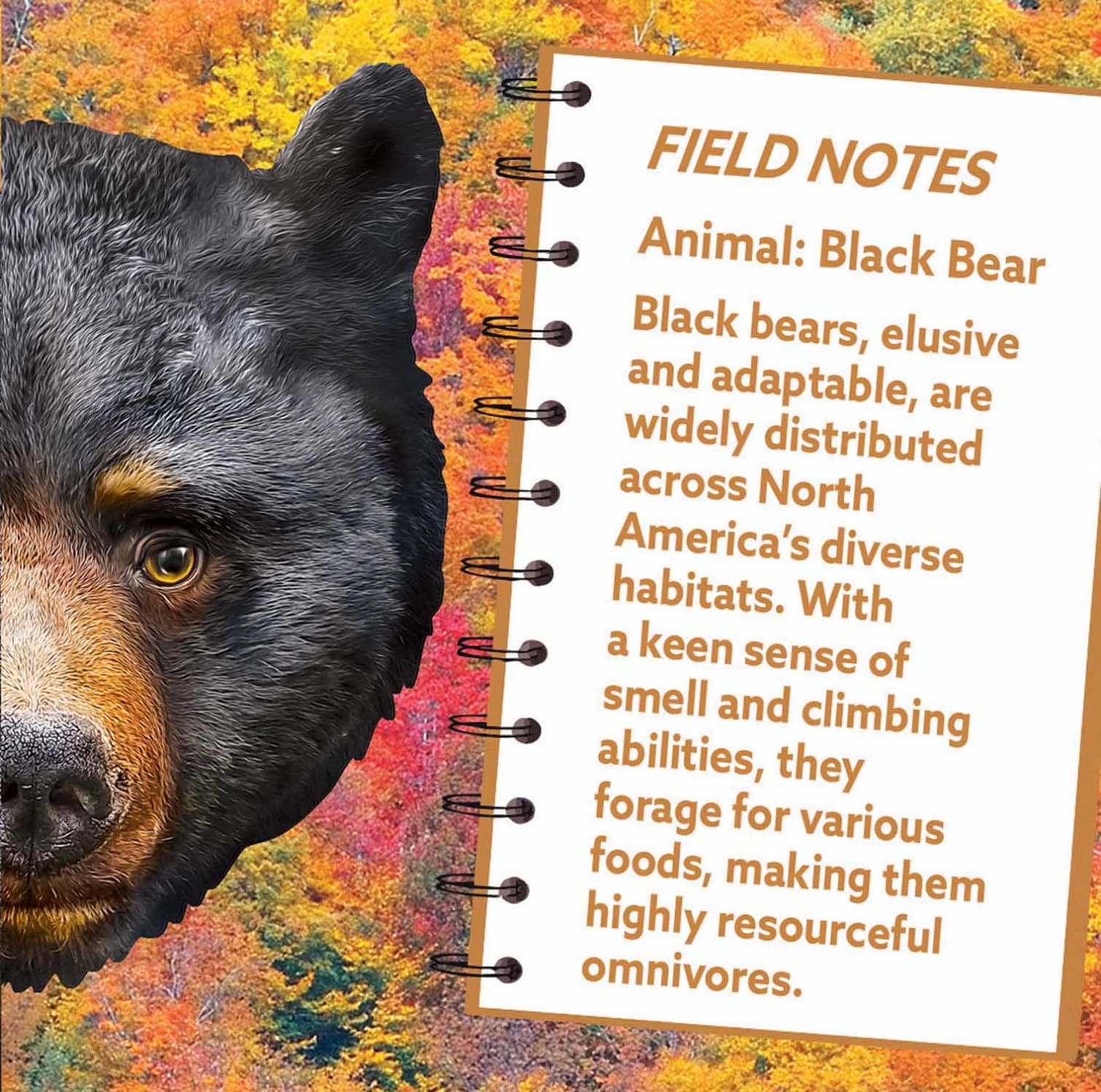 Black Bear 100 Piece Squzzle