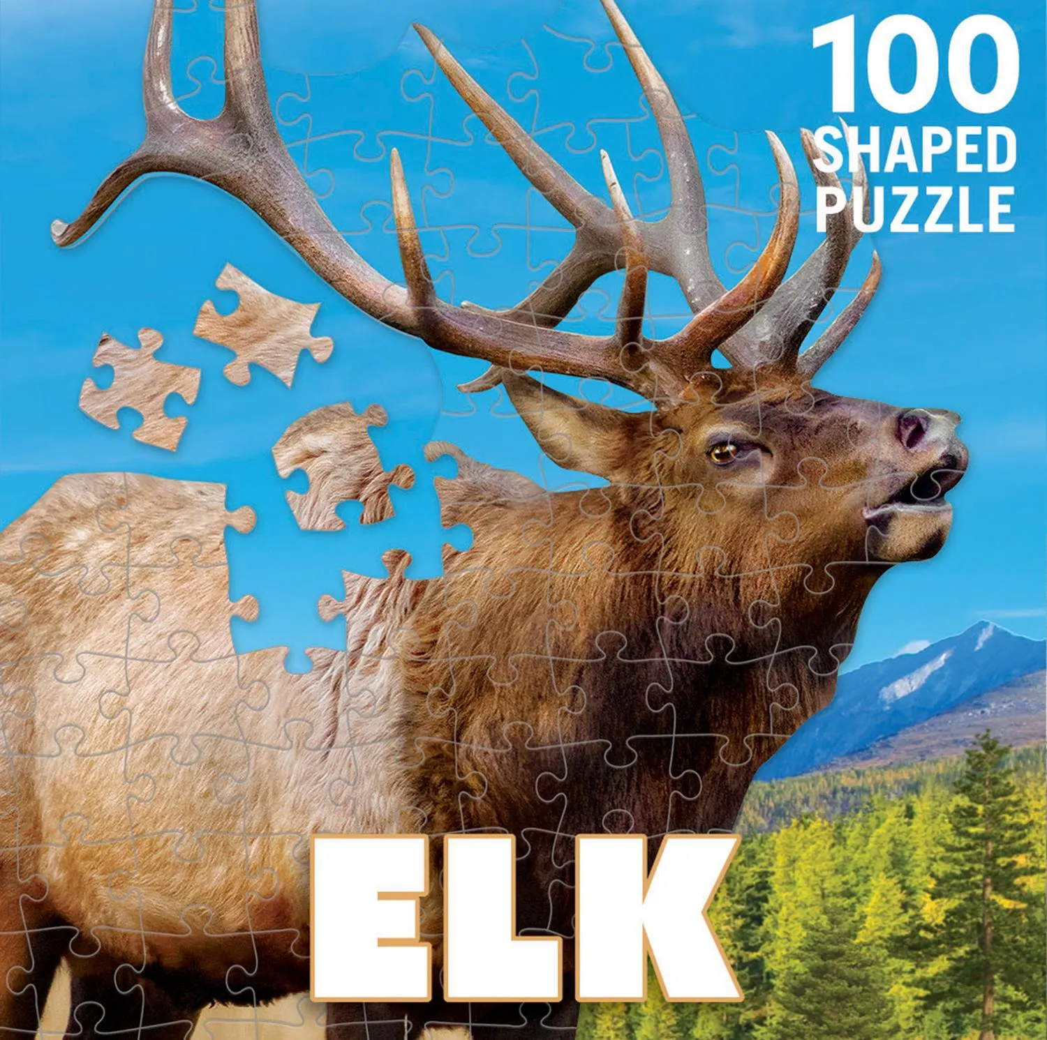Elk Animals
