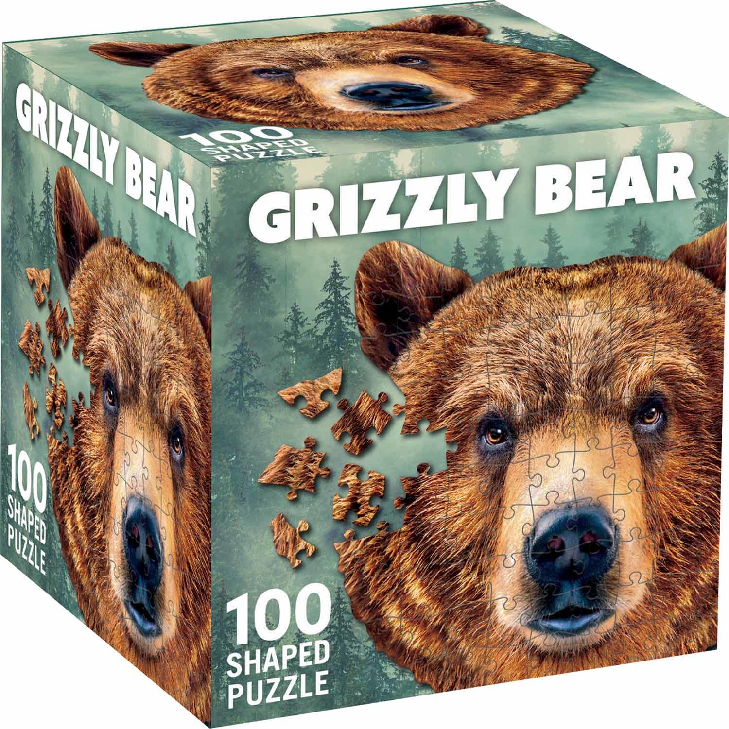 Grizzly Bear Bear