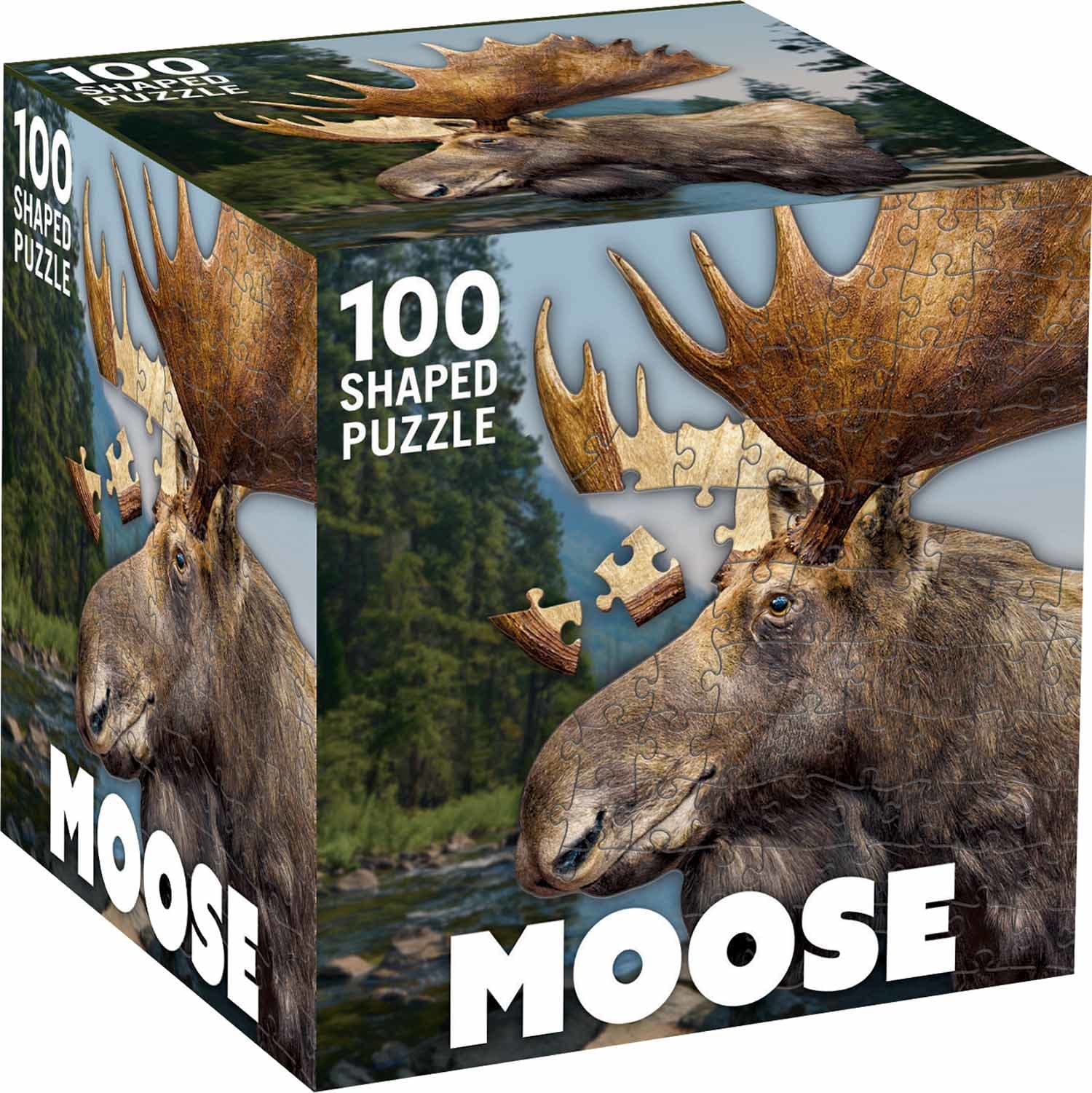 Moose Animals