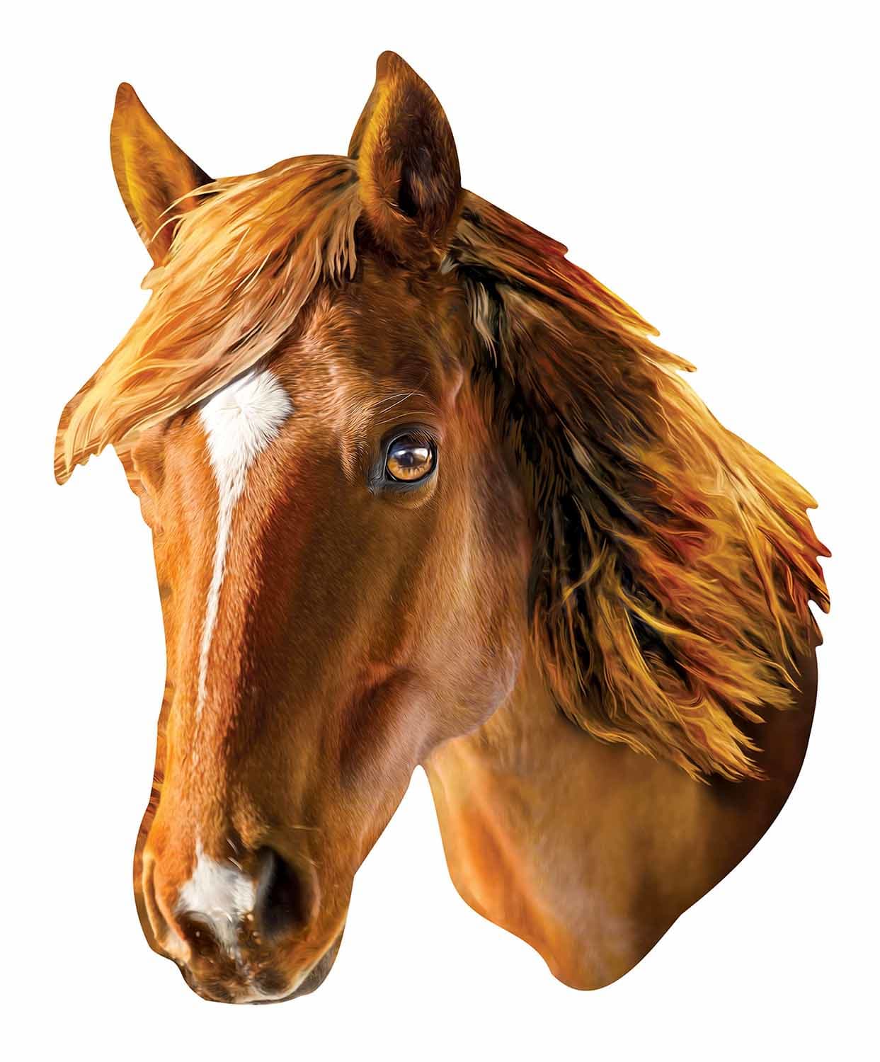 Horse 100 Piece Squzzle