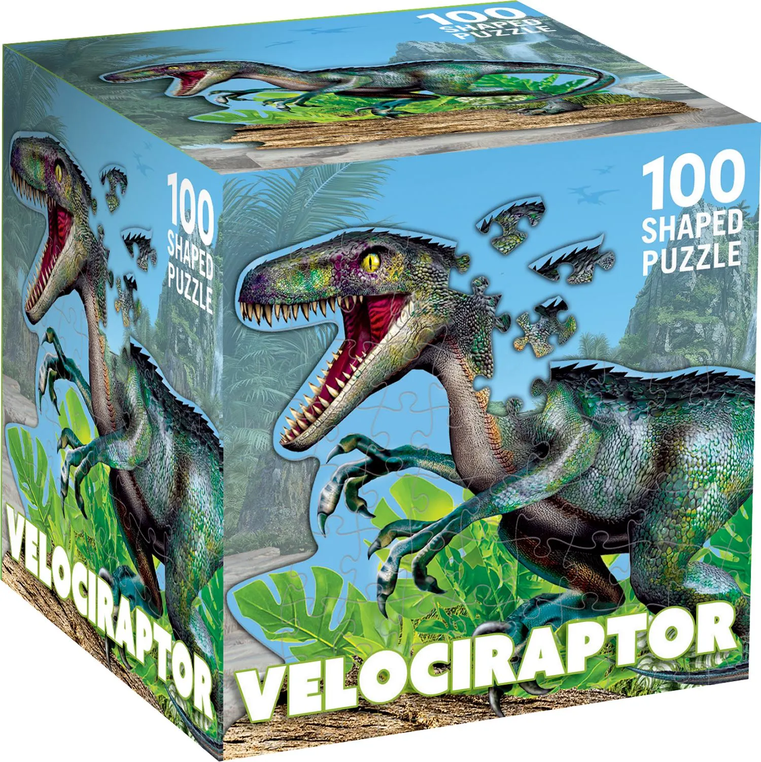 Raptor Dinosaurs