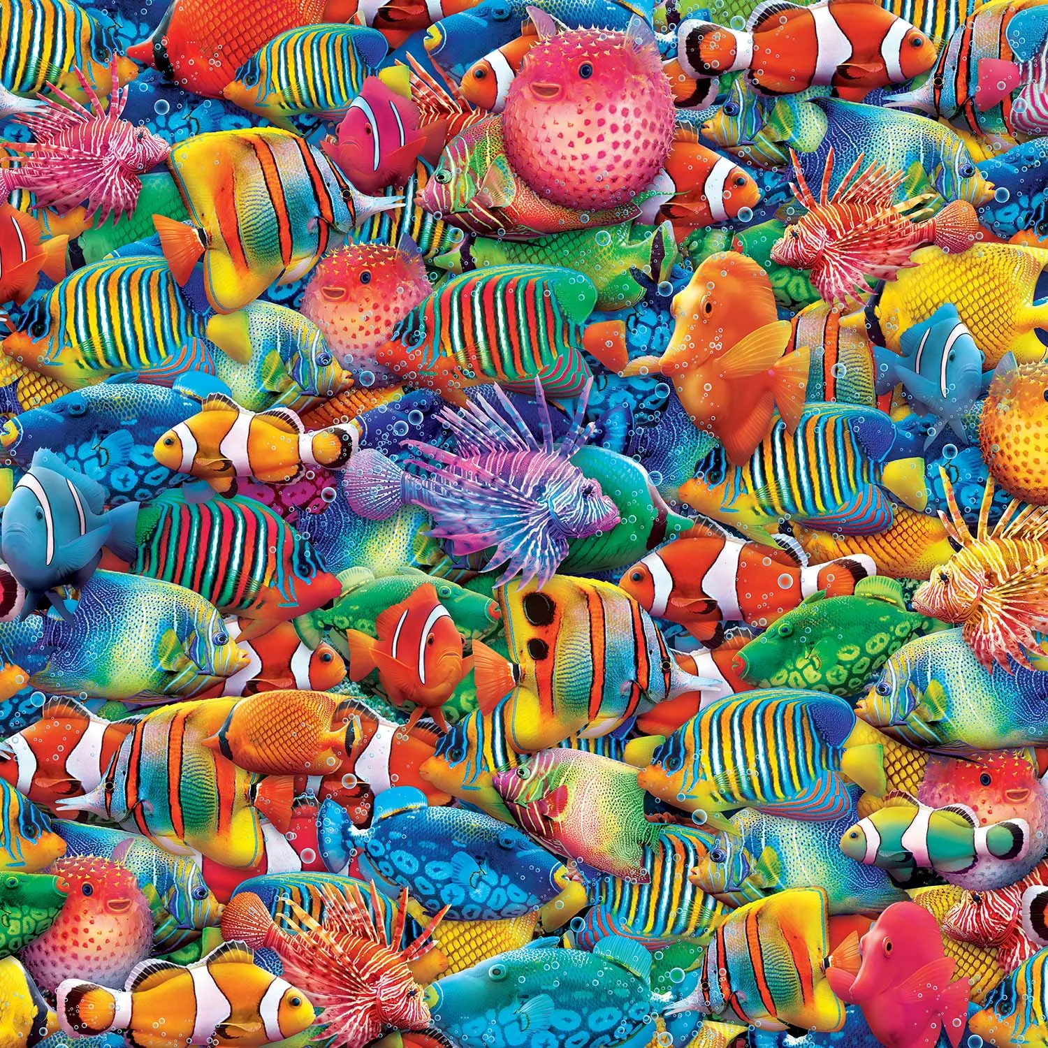 Rainbow Sea