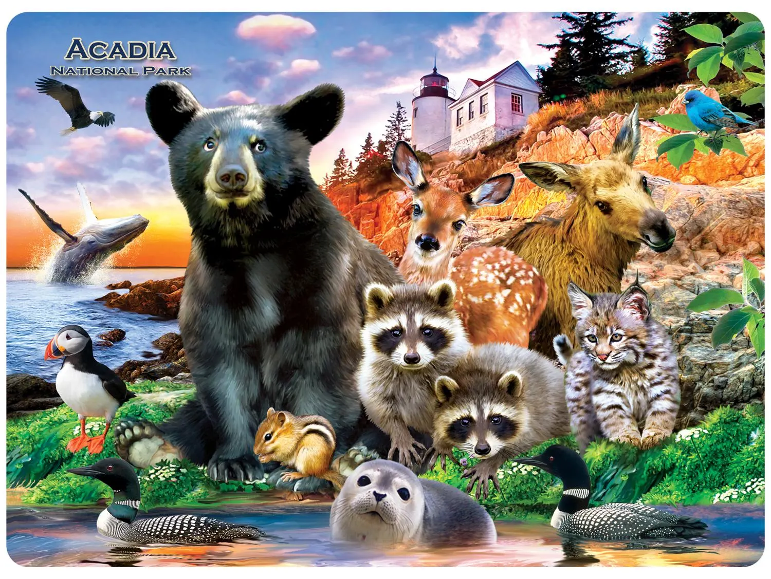 Acadia National Park 48 Piece Tray Puzzle Animals