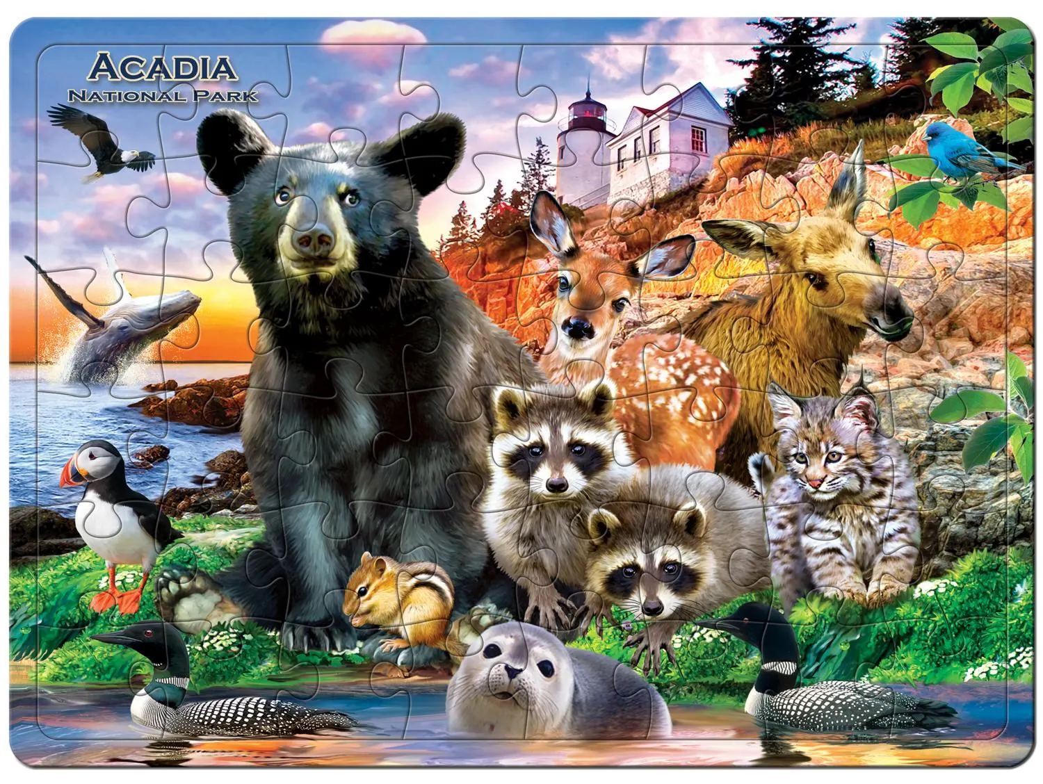 Acadia National Park 48 Piece Tray Puzzle