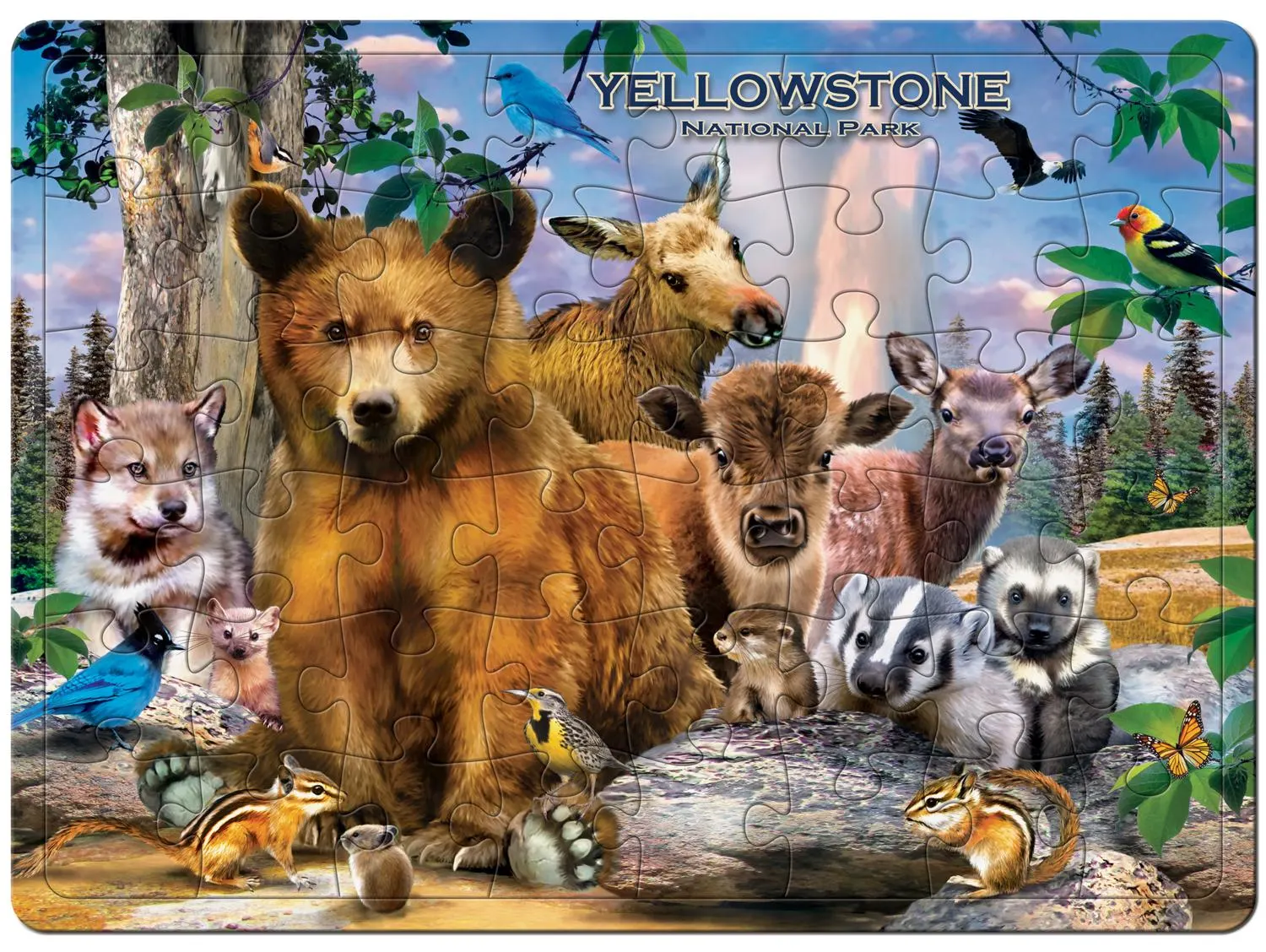 Yellowstone National Park