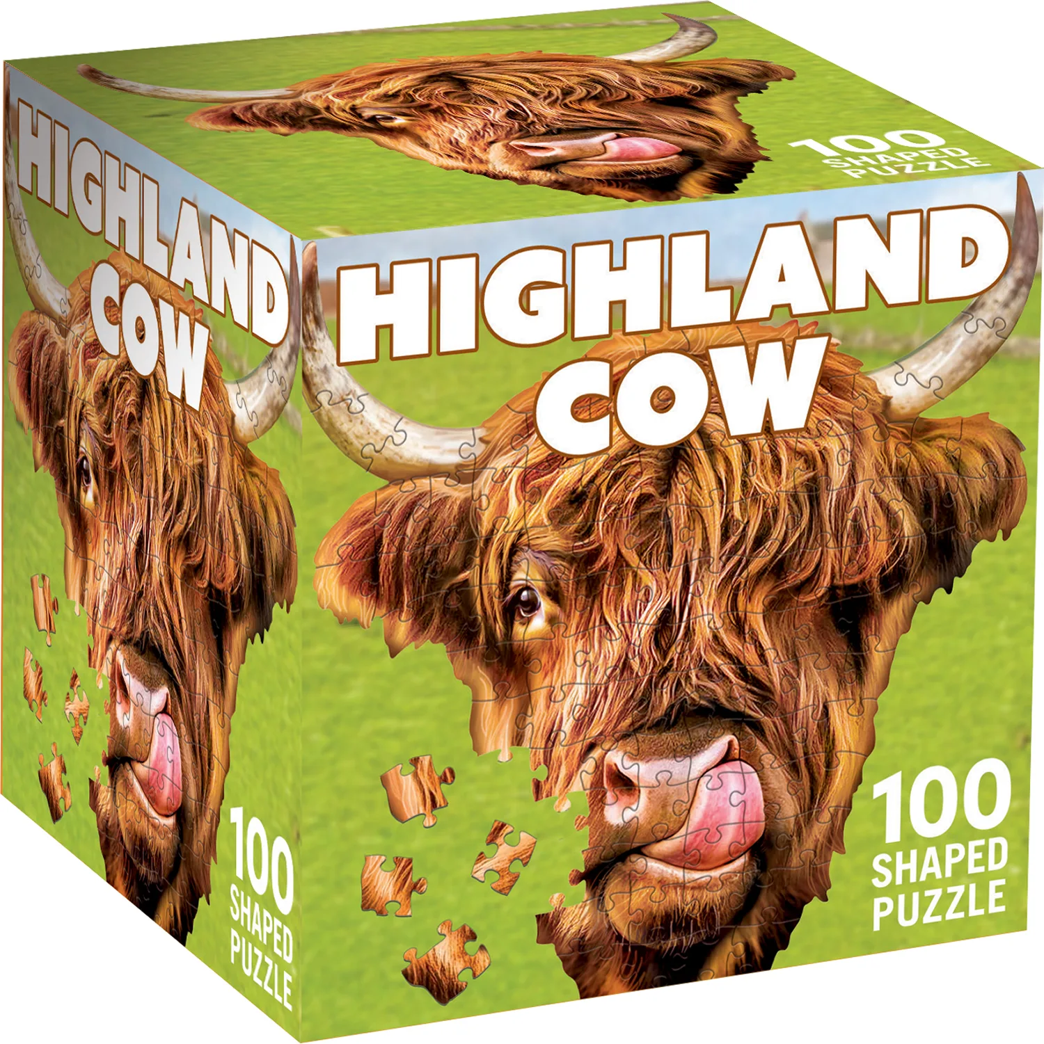 Highland Cow Animals