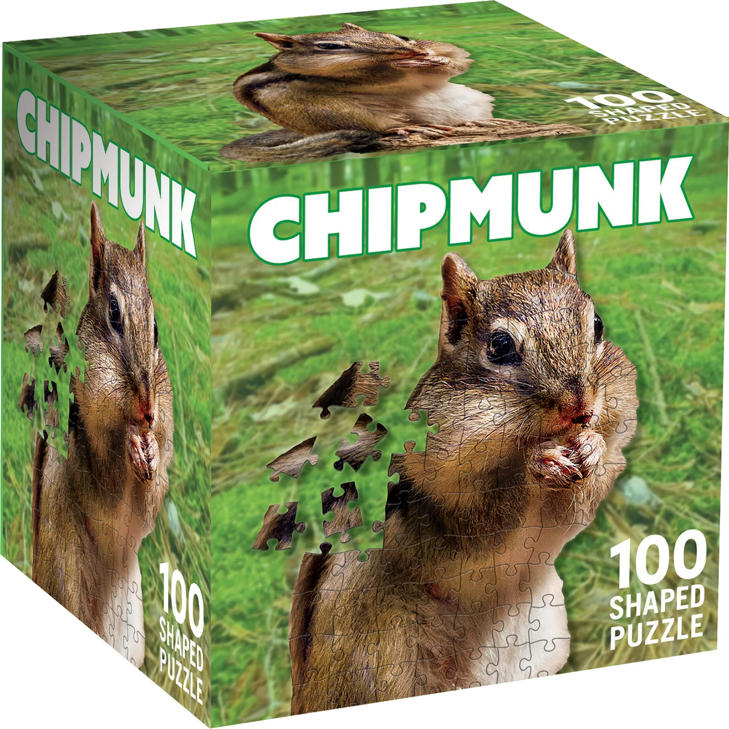 Chipmunk Animals