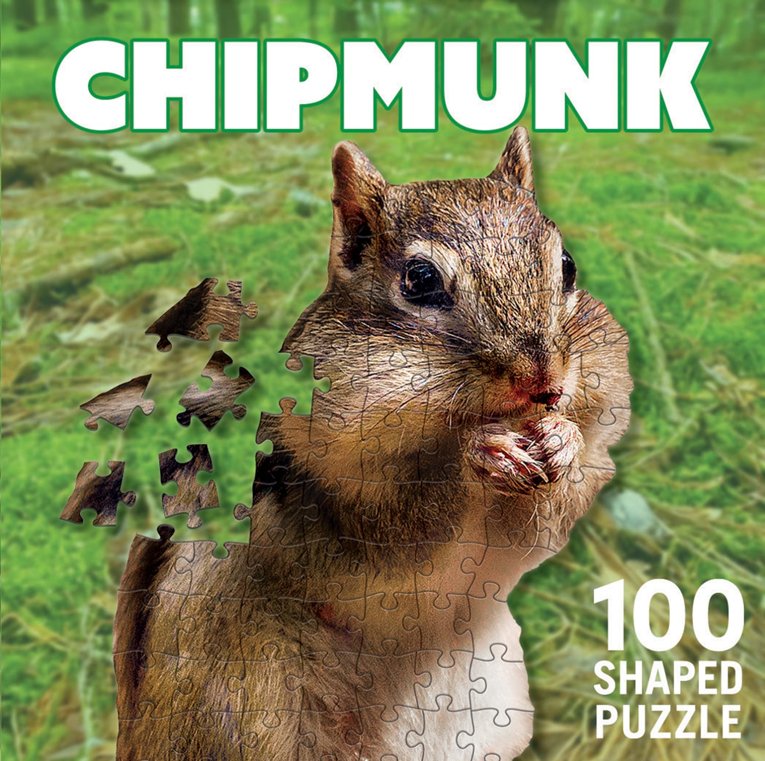 Chipmunk