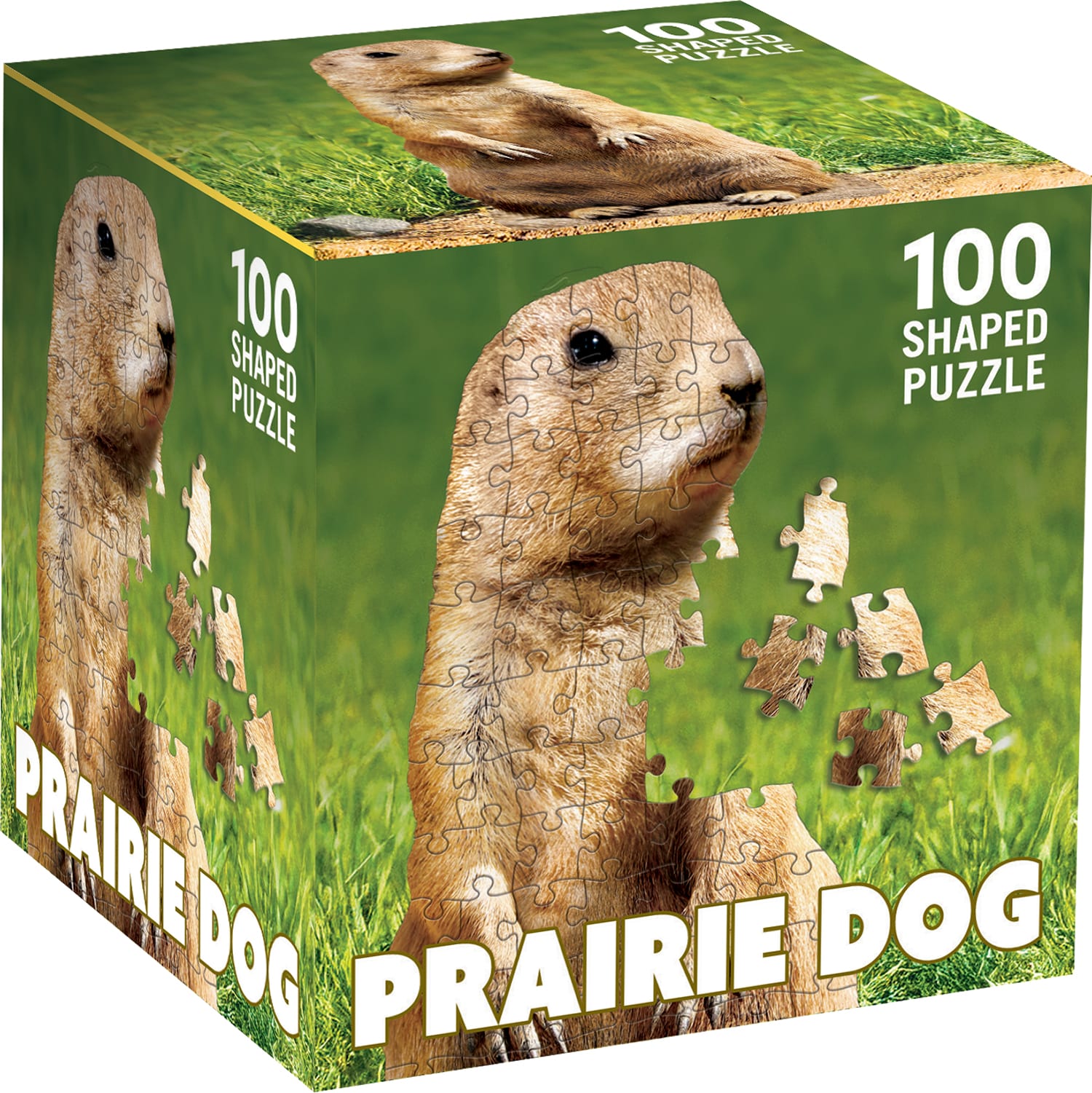 Prairie Dog Animals