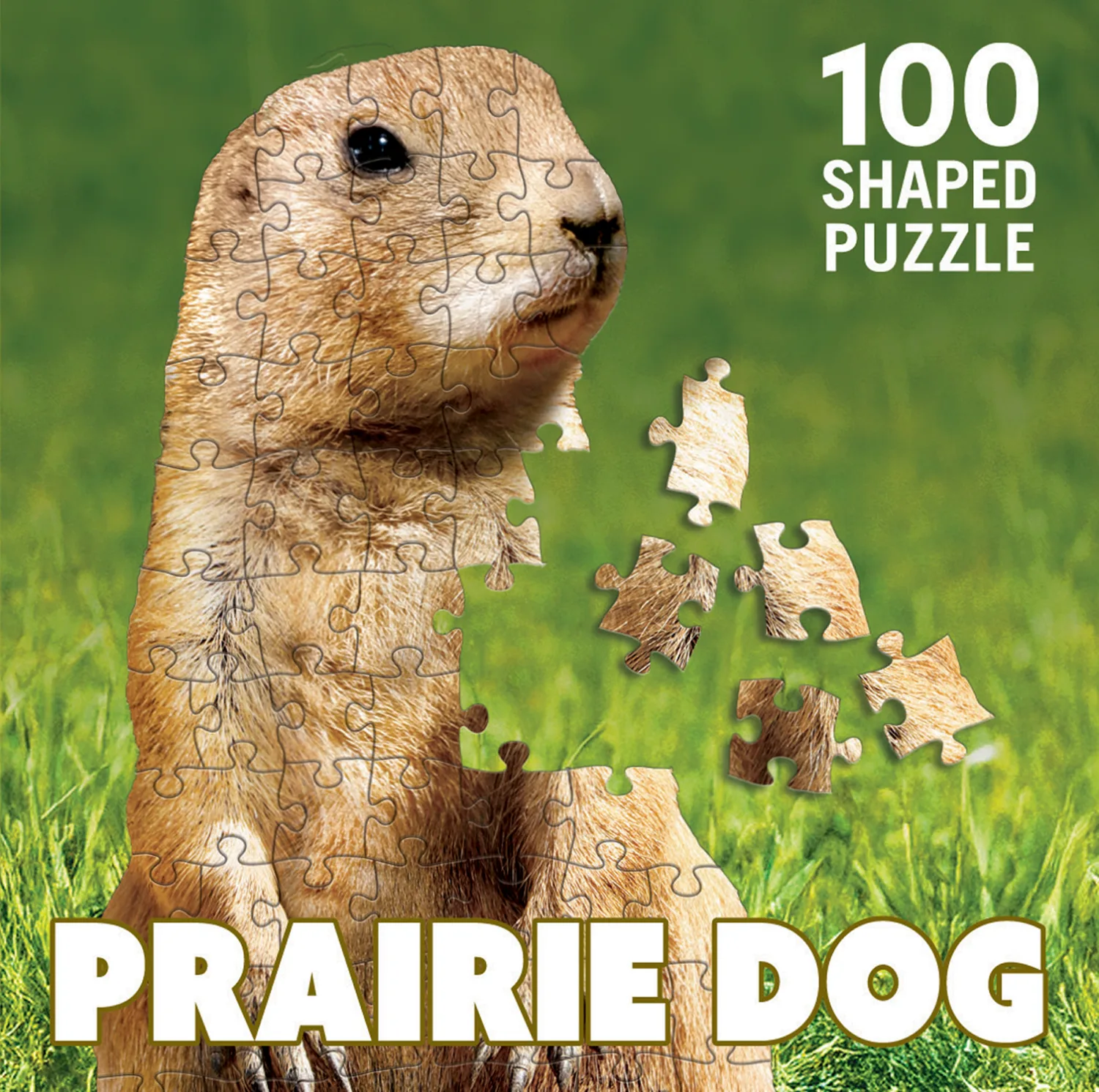 Prairie Dog