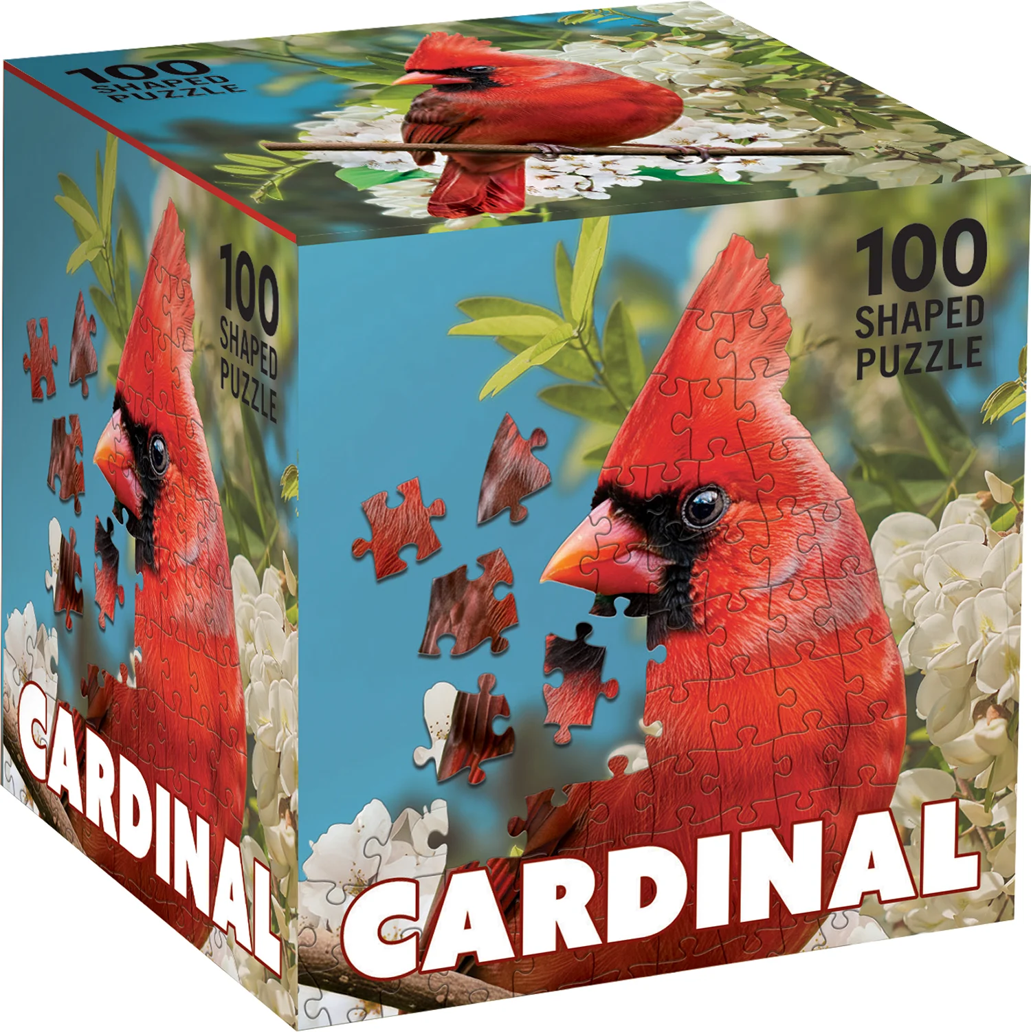 Cardinal Birds