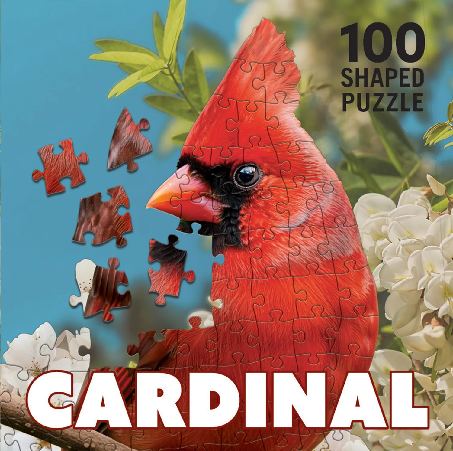 Cardinal
