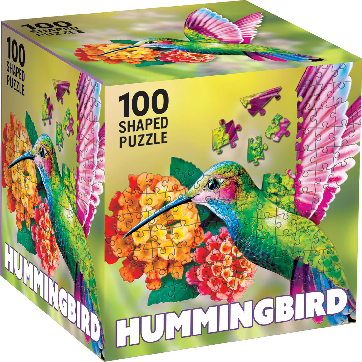 Hummingbird Birds
