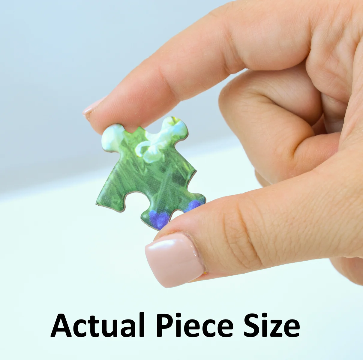 Duffy's Sports & Suds