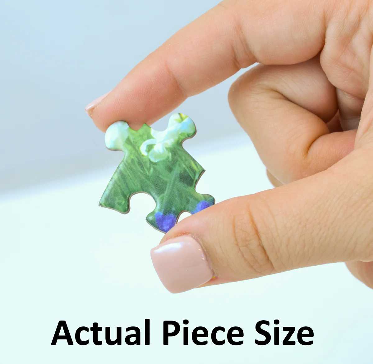 Greetings From The North Pole