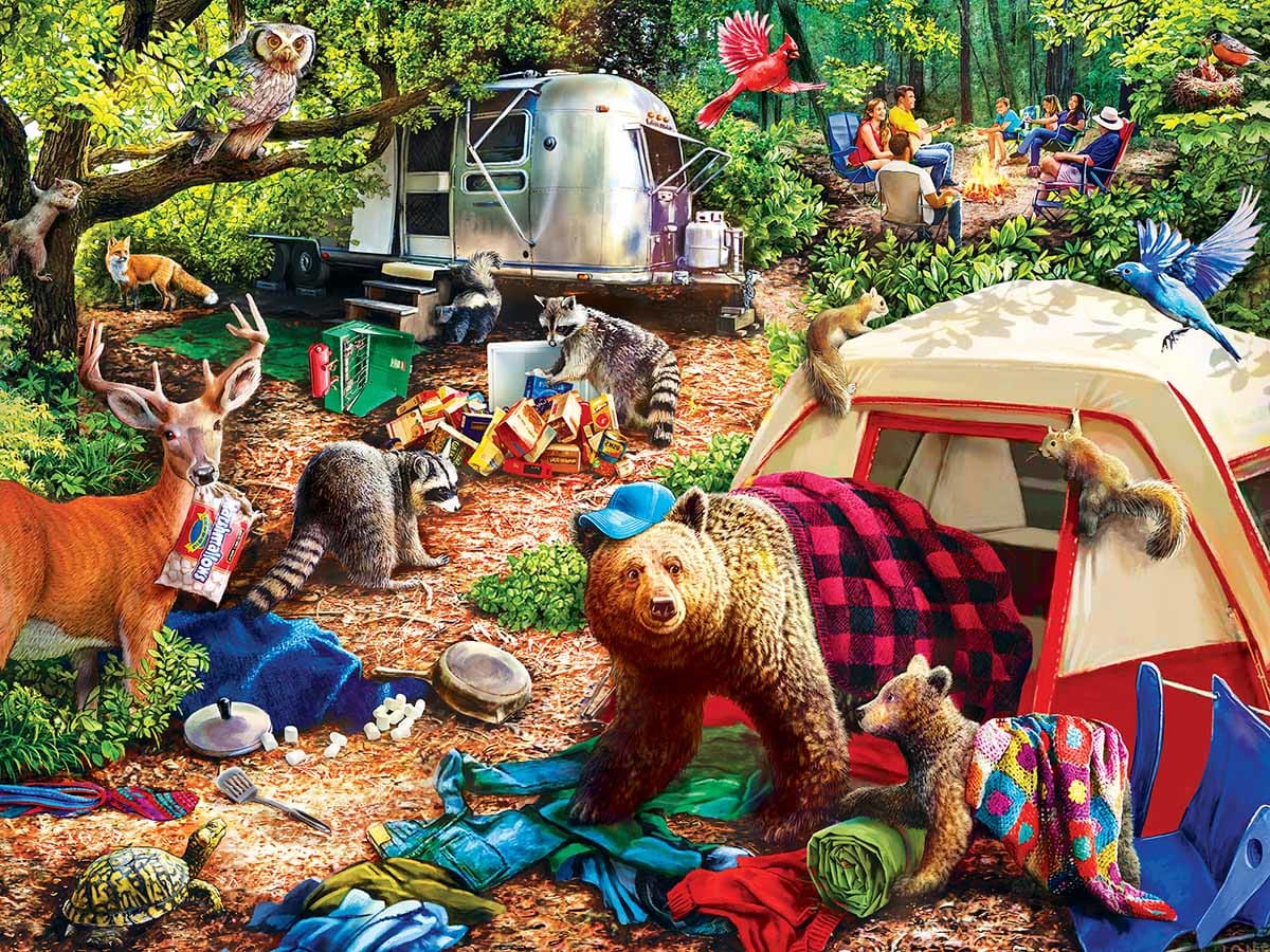 Campsite Trouble Forest