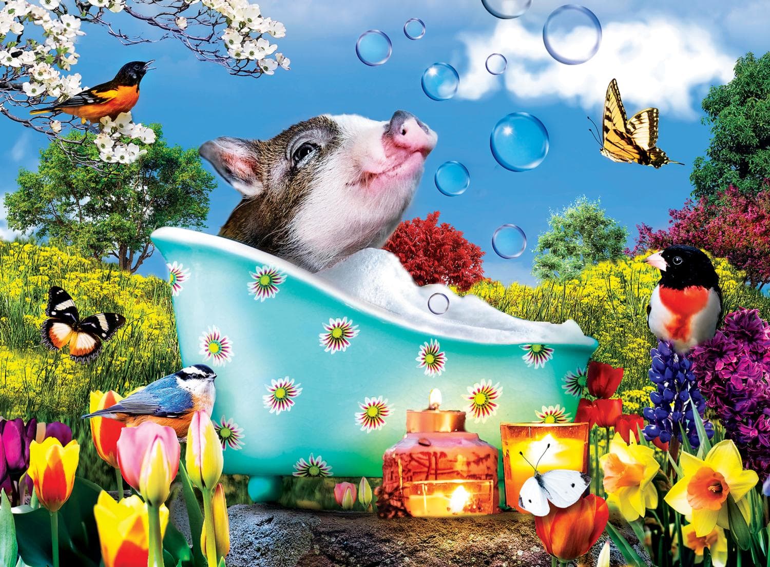 Wild & Whimsical Multipack