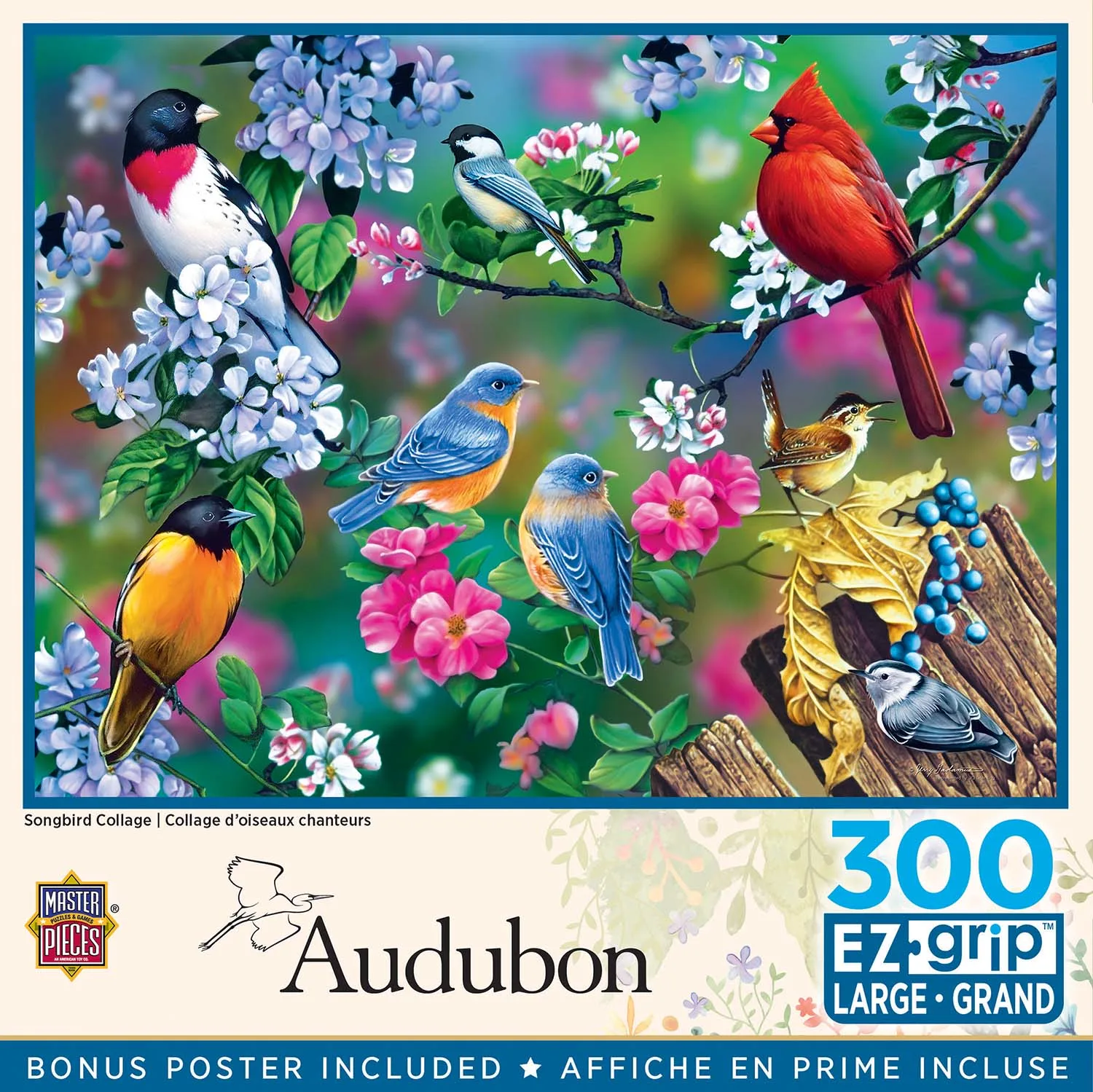 Audubon Songbird Collage