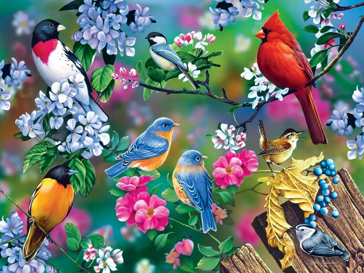 Audubon Songbird Collage Birds