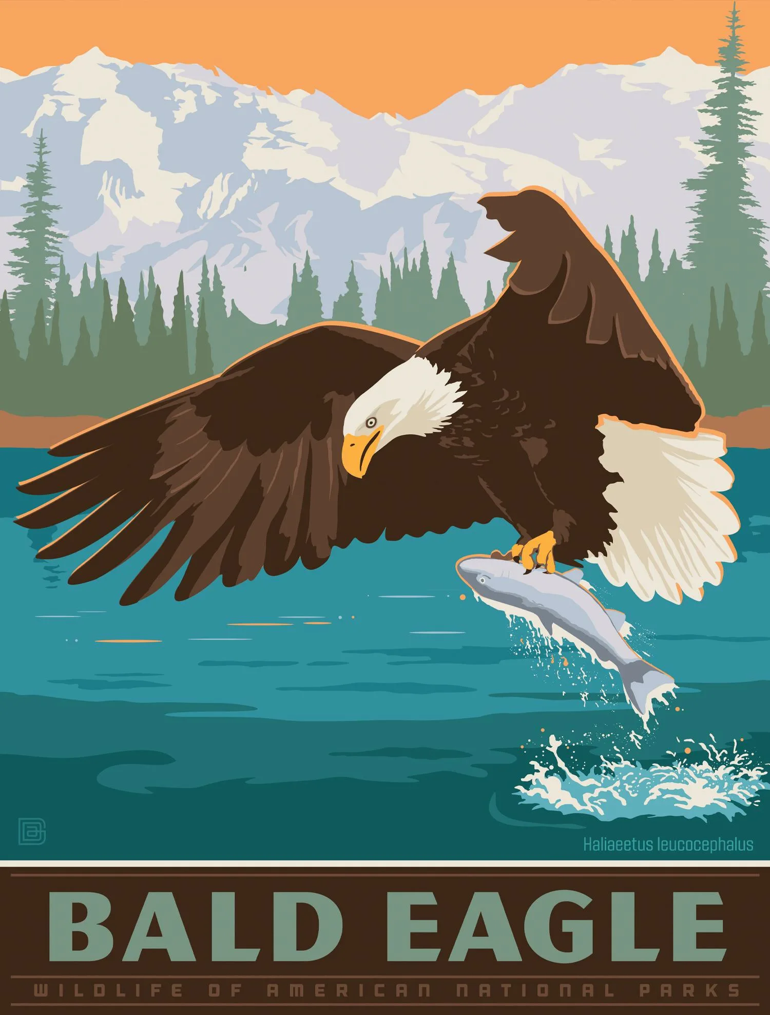 Puzzle Pod - Bald Eagle