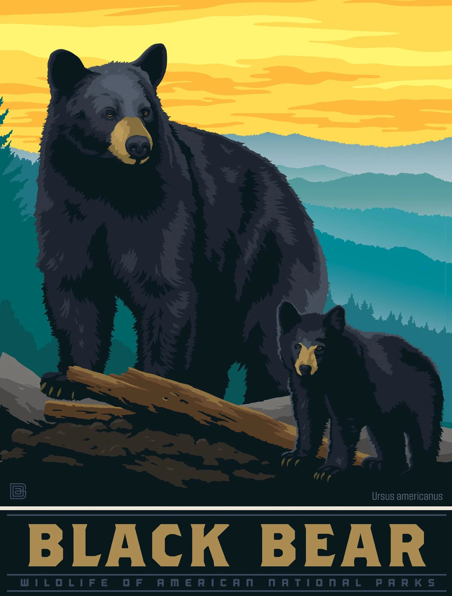 Puzzle Pod - Black Bear