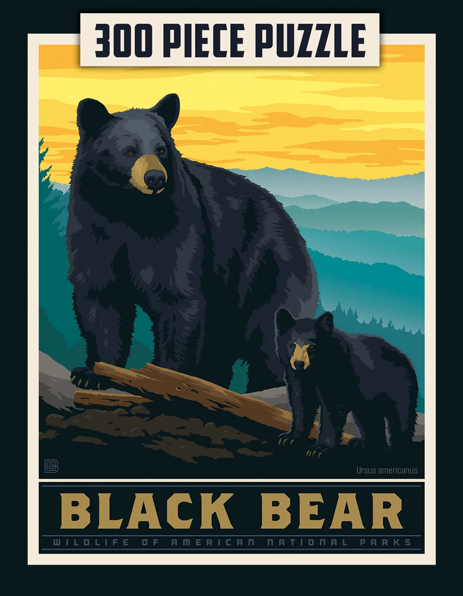 Puzzle Pod - Black Bear