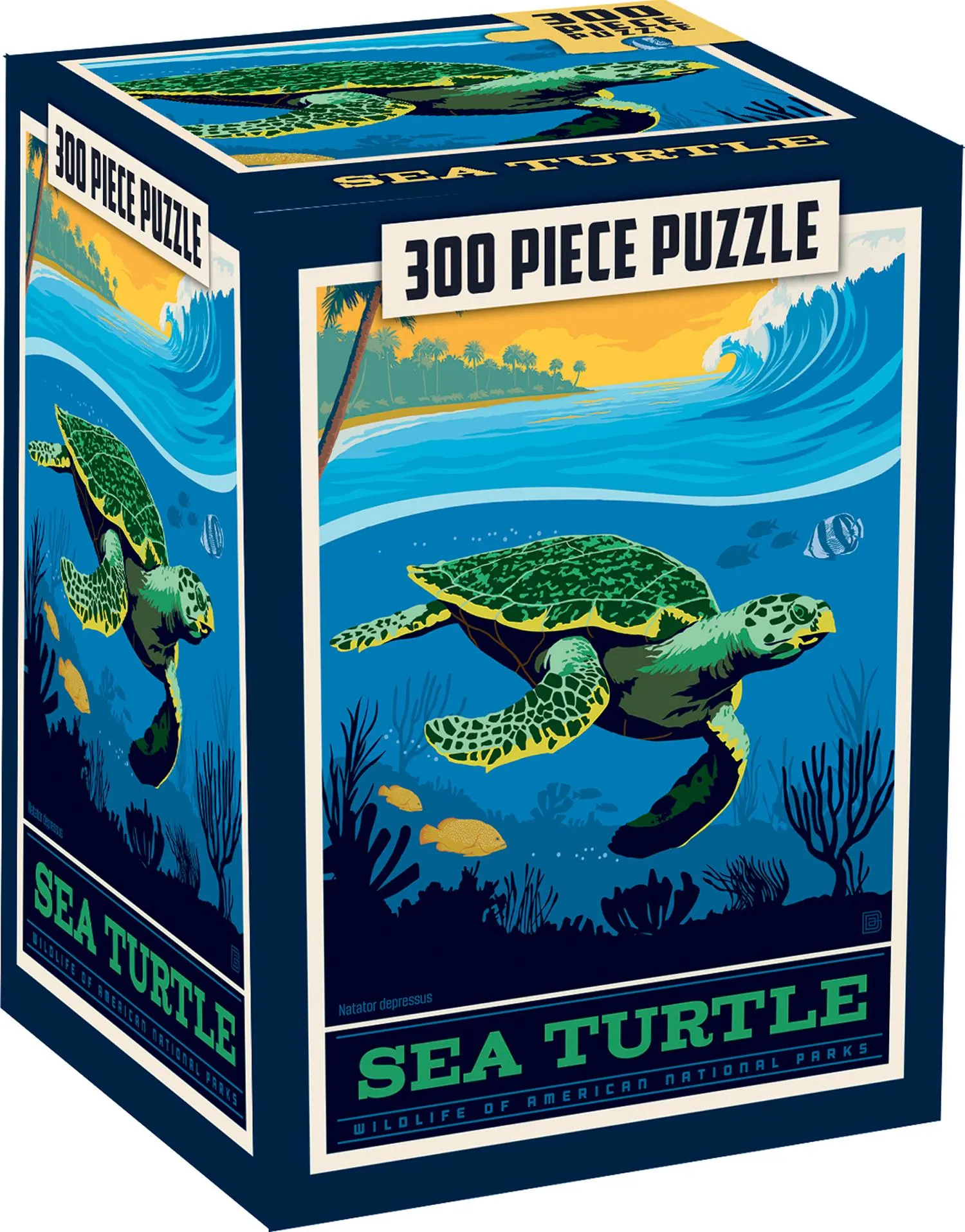 Puzzle Pod - Sea Turtle Reptile & Amphibian