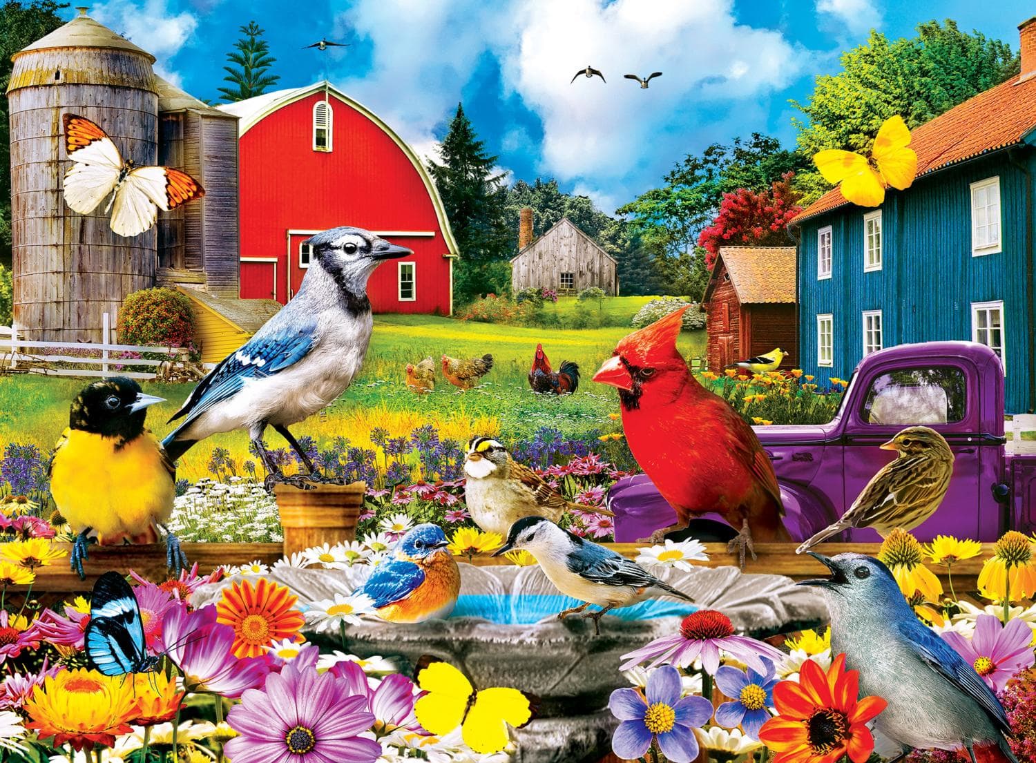 12 Pack - Wild & Whimscial Bundle - Scratch and Dent