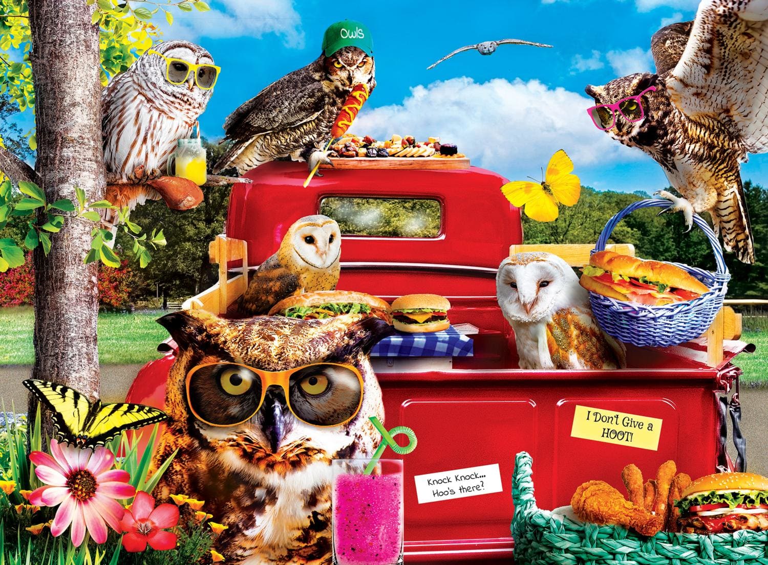 12 Pack - Wild & Whimscial Bundle - Scratch and Dent