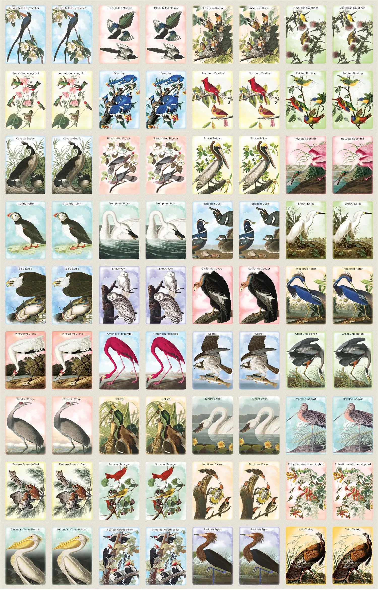 Audubon Memory Game