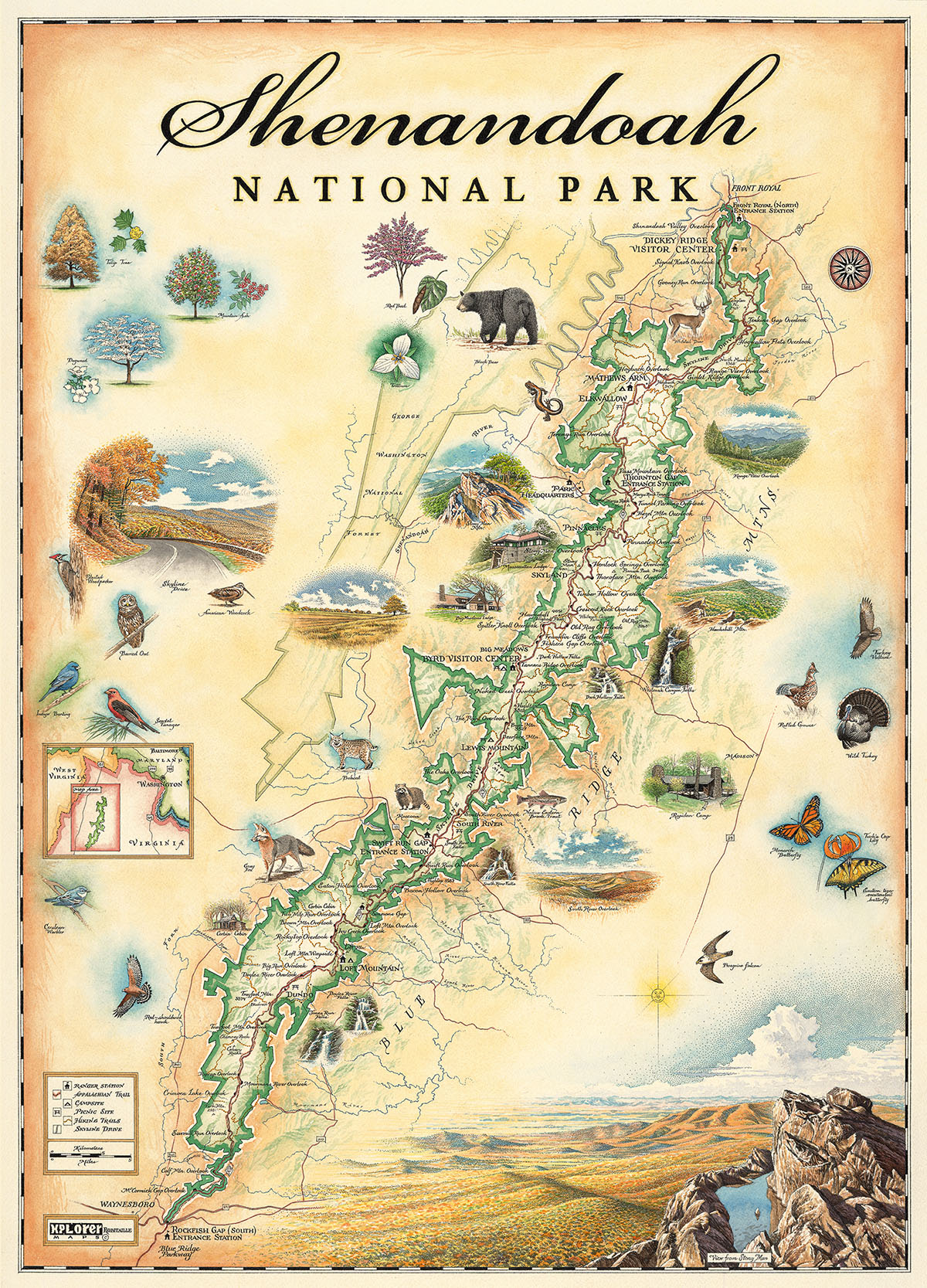 Xplorer Maps - Shenandoah 1000pc Puzzle Maps & Geography Jigsaw Puzzle