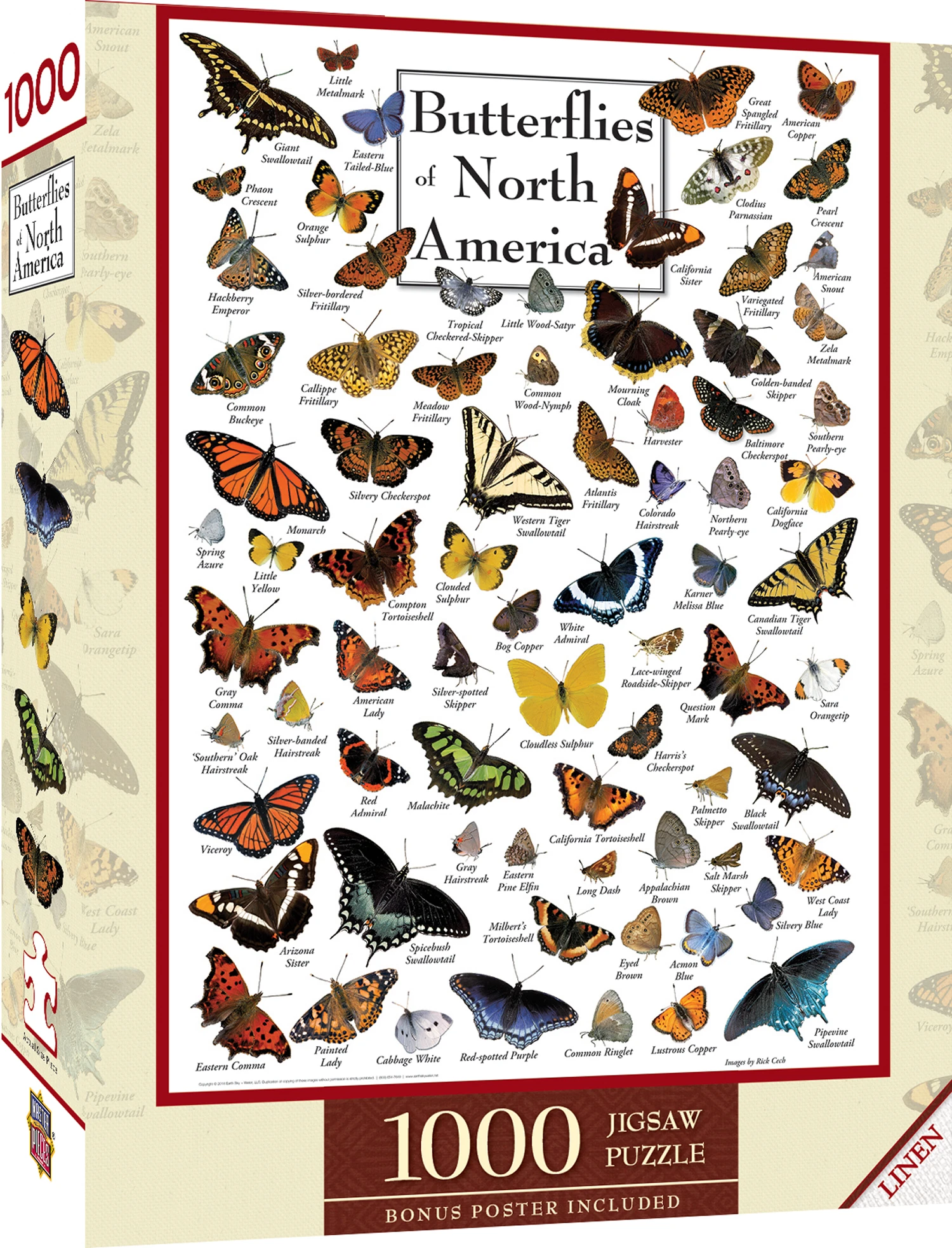 Butterflies of North America