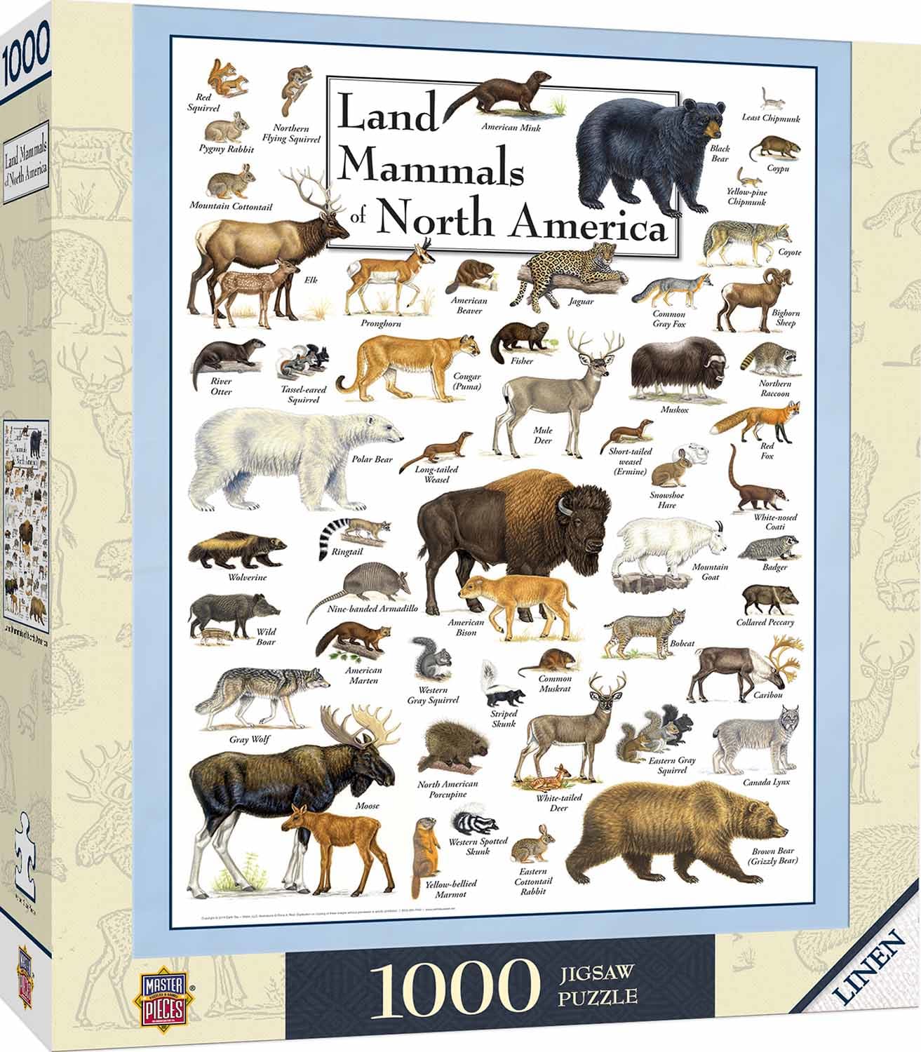 Land Mammals of North America