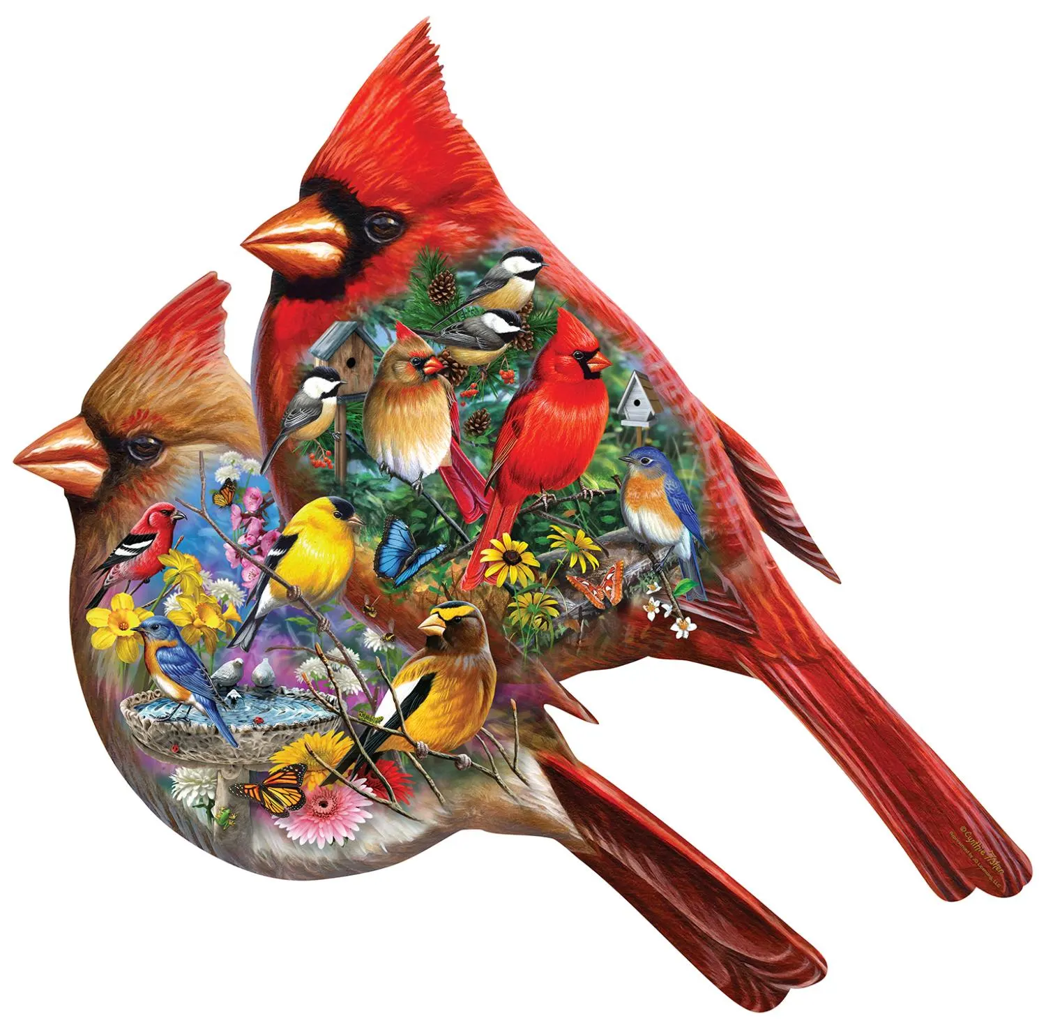 Contours - Cardinals - Scratch and Dent Birds