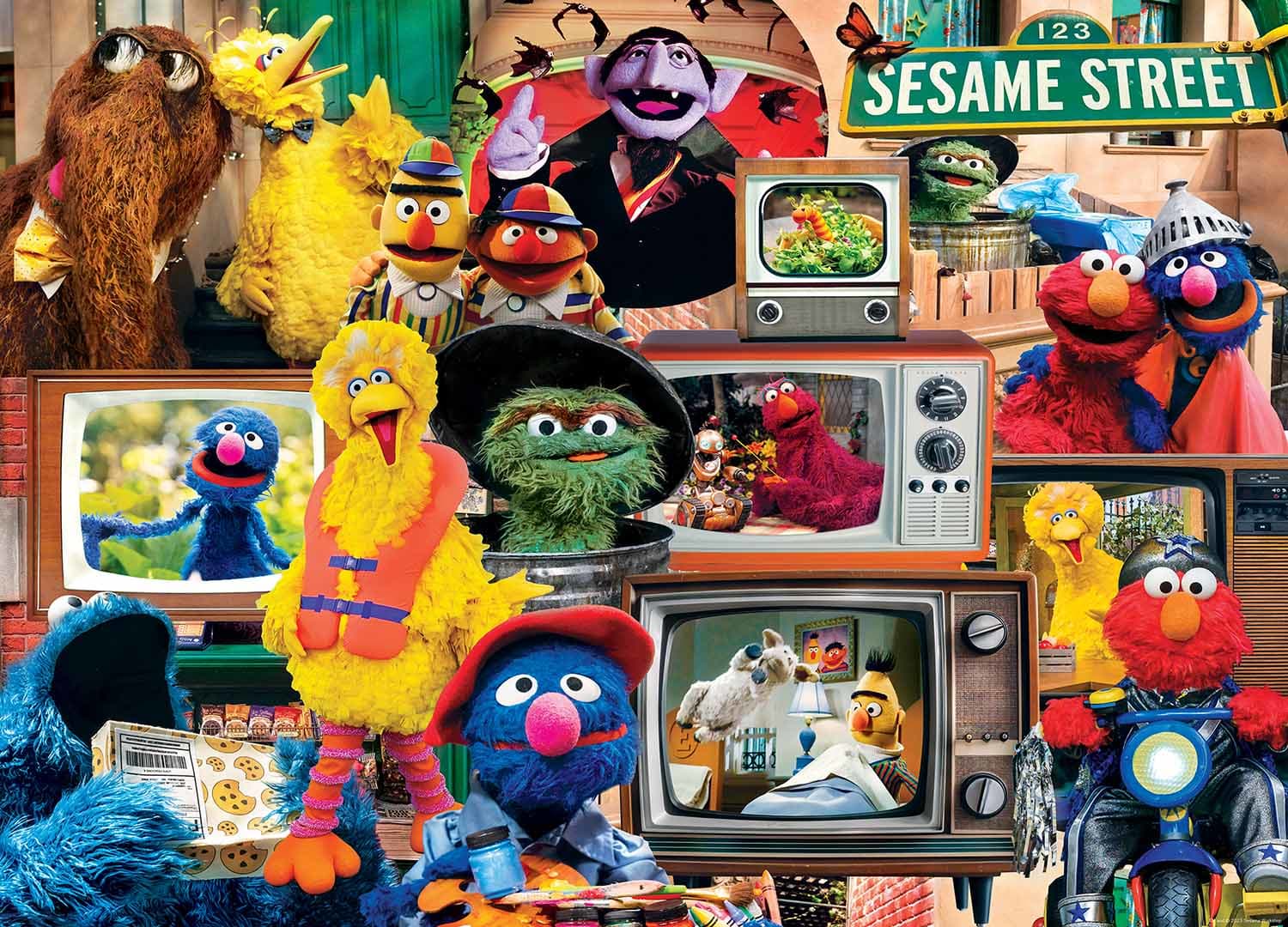 Sesame Street - Big Bird's Block Party Movies & TV